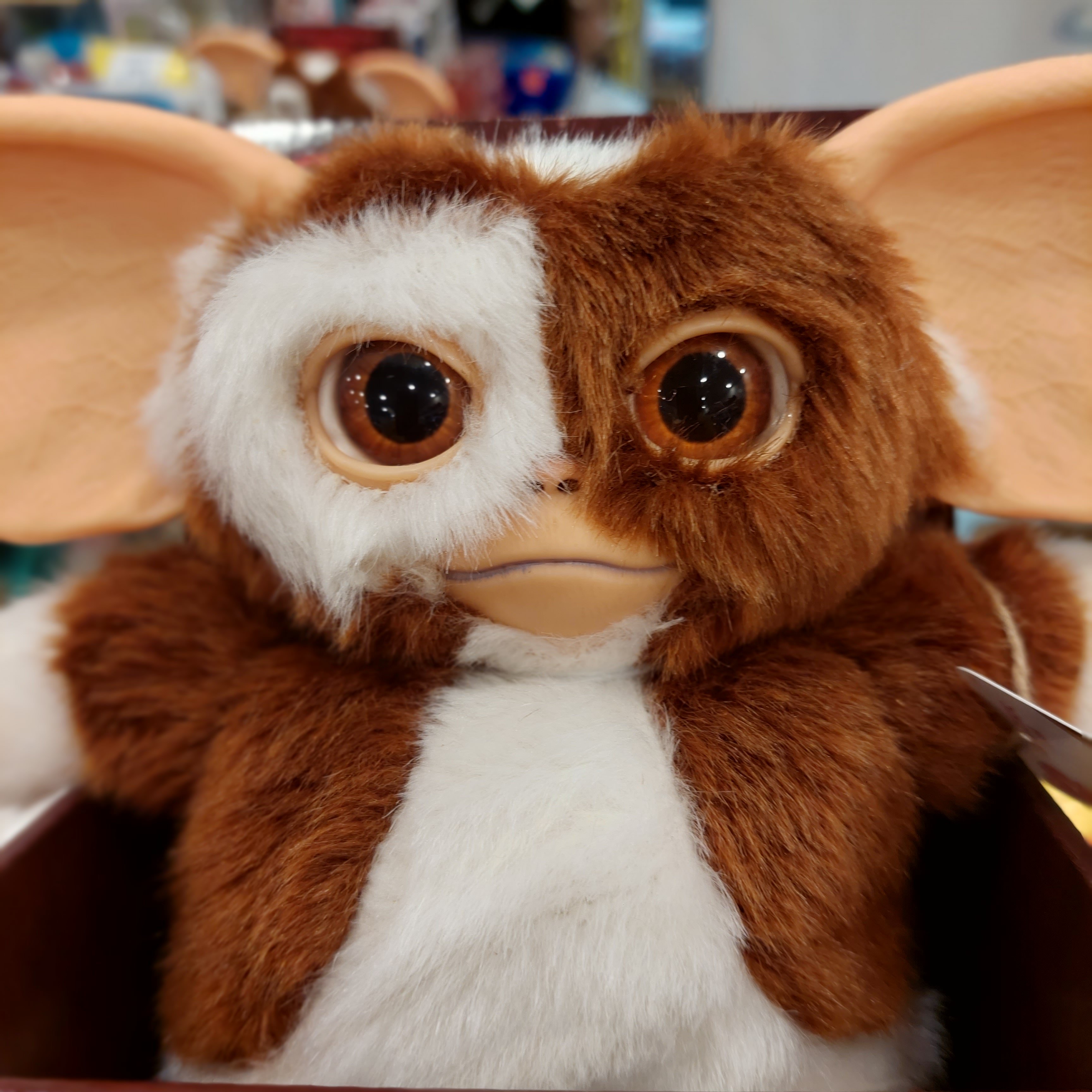 Gremlins Gizmo 小魔怪 毛公仔 Ikon Design Studio 坐高約 17cm