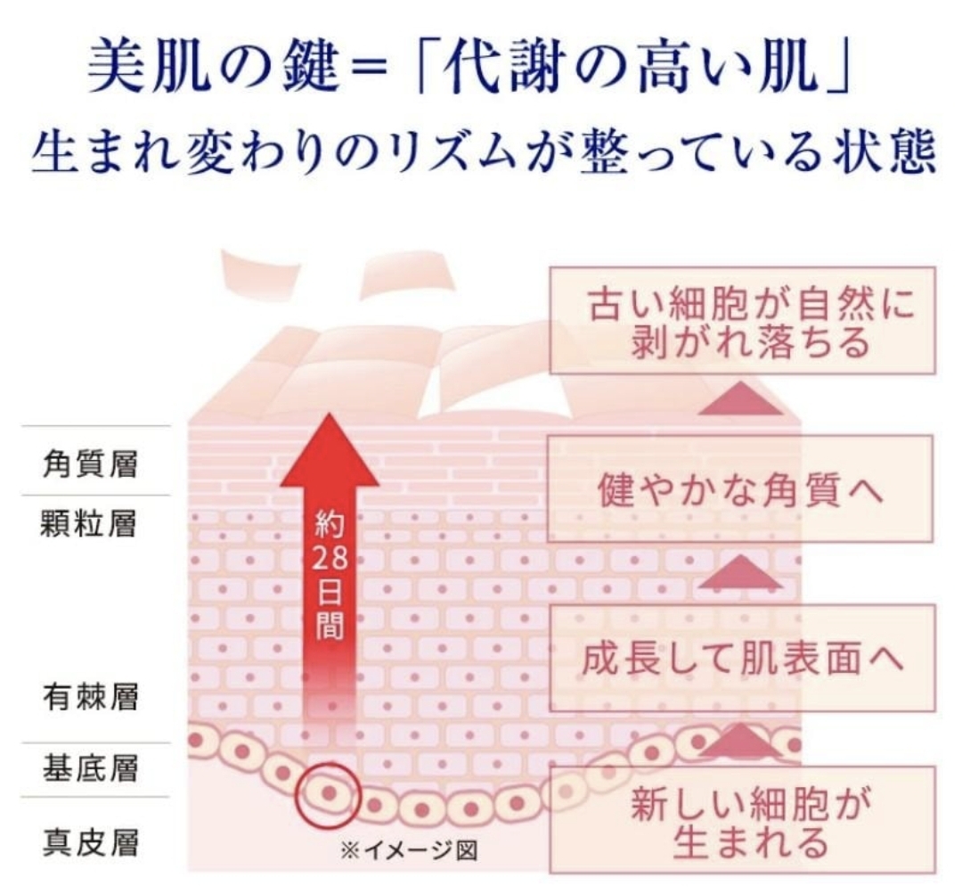 日本TAKAMI Skin Peel 肌底角質代謝美容液 30ml 新包裝