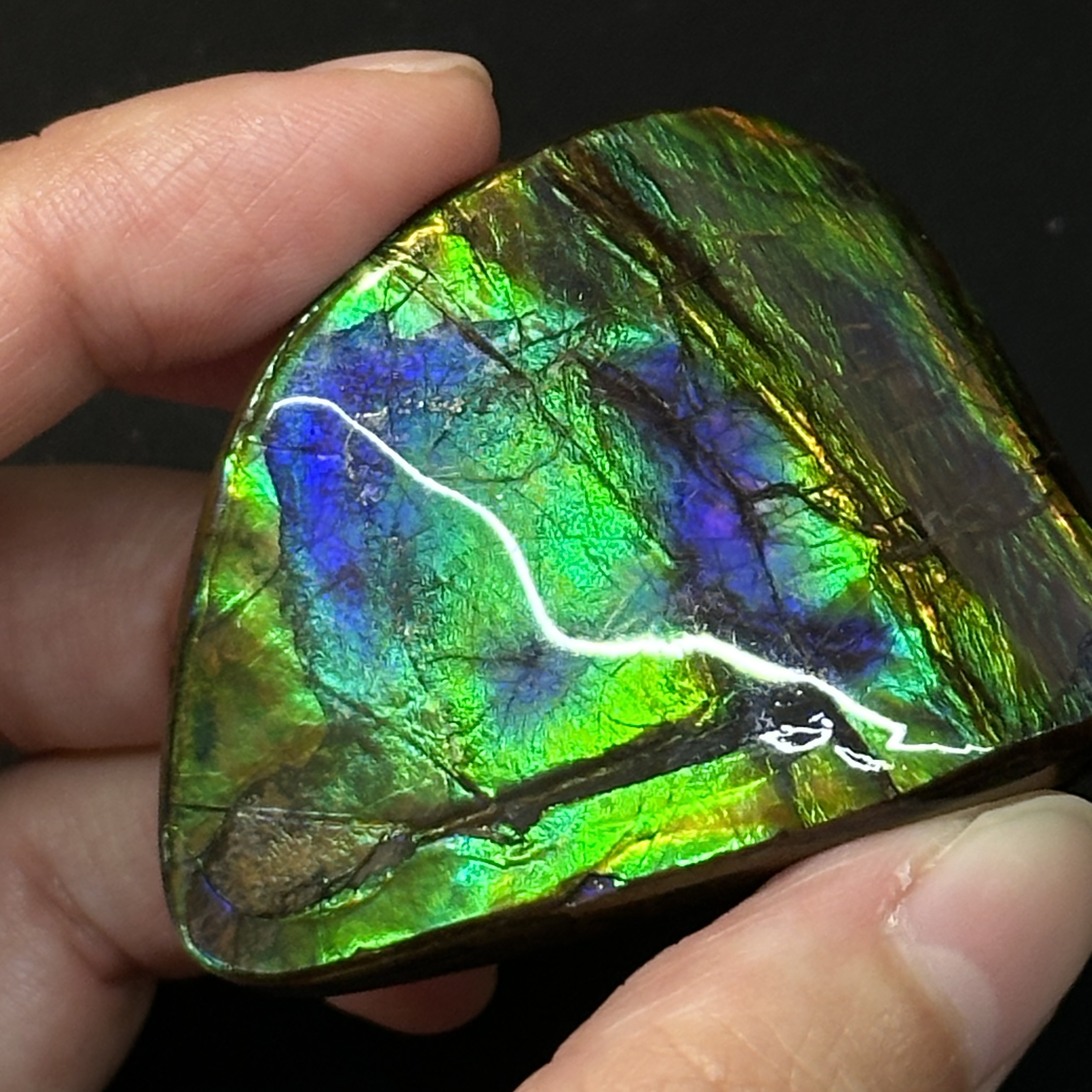 斑彩石 - Ammolite AM03
