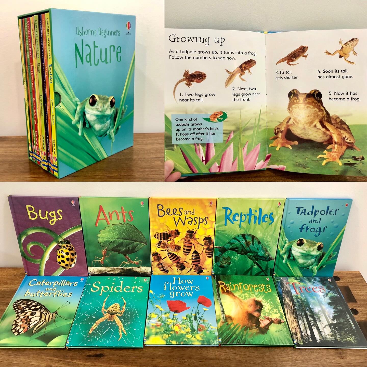 Usborne Beginners Nature 初探自然 兒童科普讀物｜10 books｜英文科普知識繪本