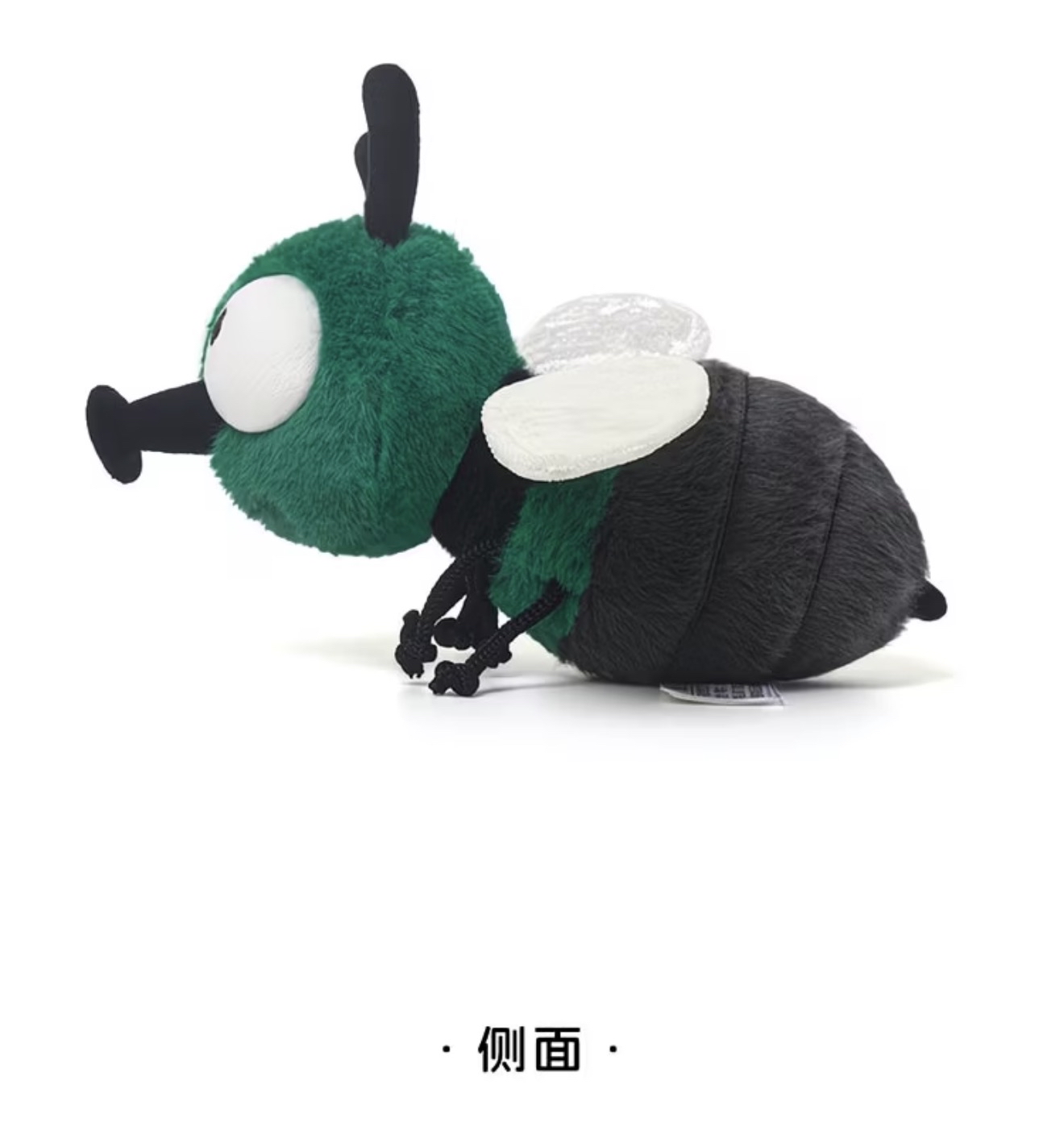 Mung Bean Fly 