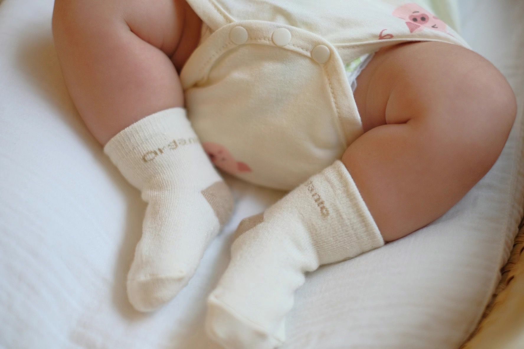 K0600 Organic 襪仔