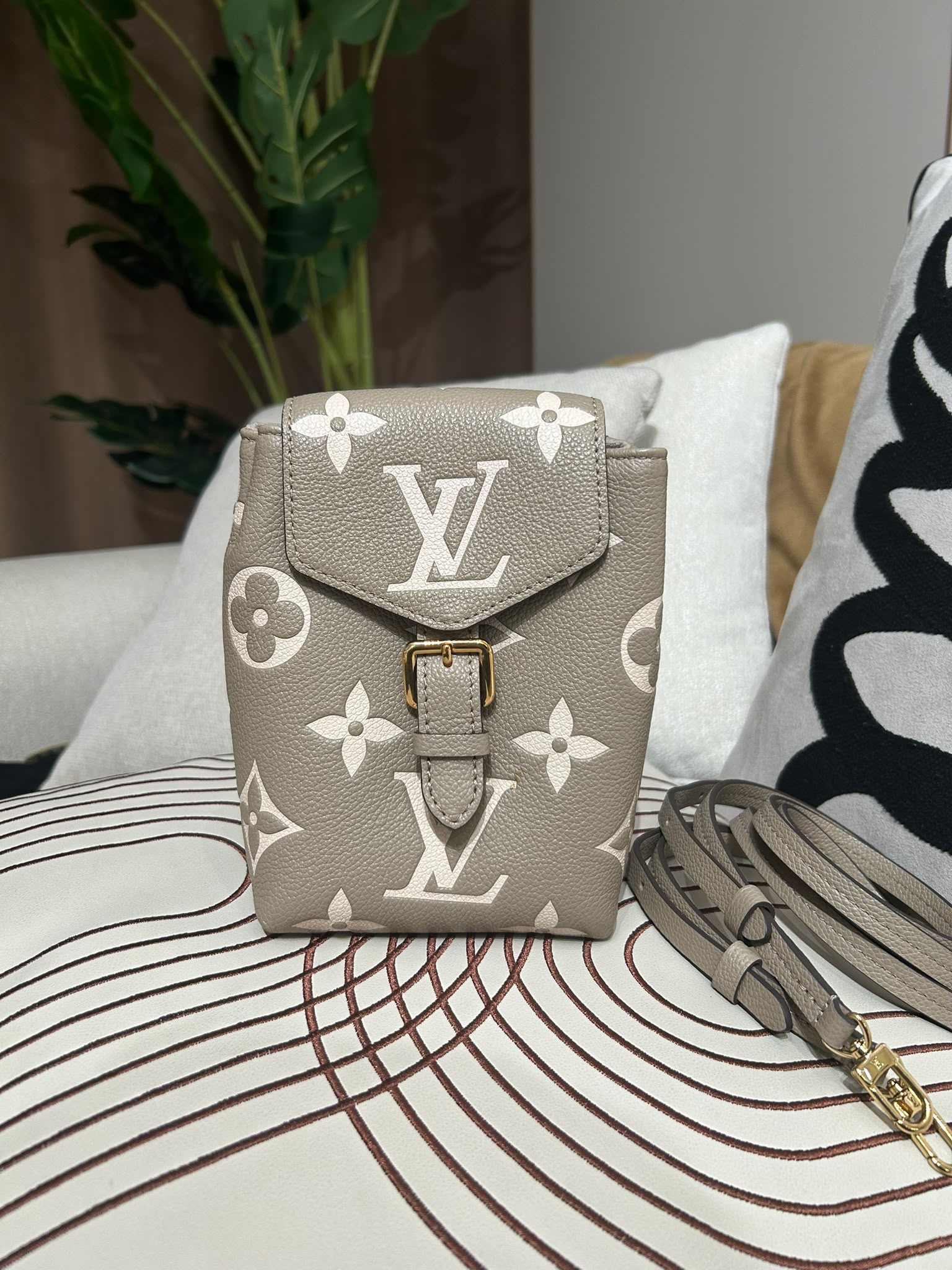 Lv tiny backpack 100%Authentic ,98%new✅dust bag ✅strap  