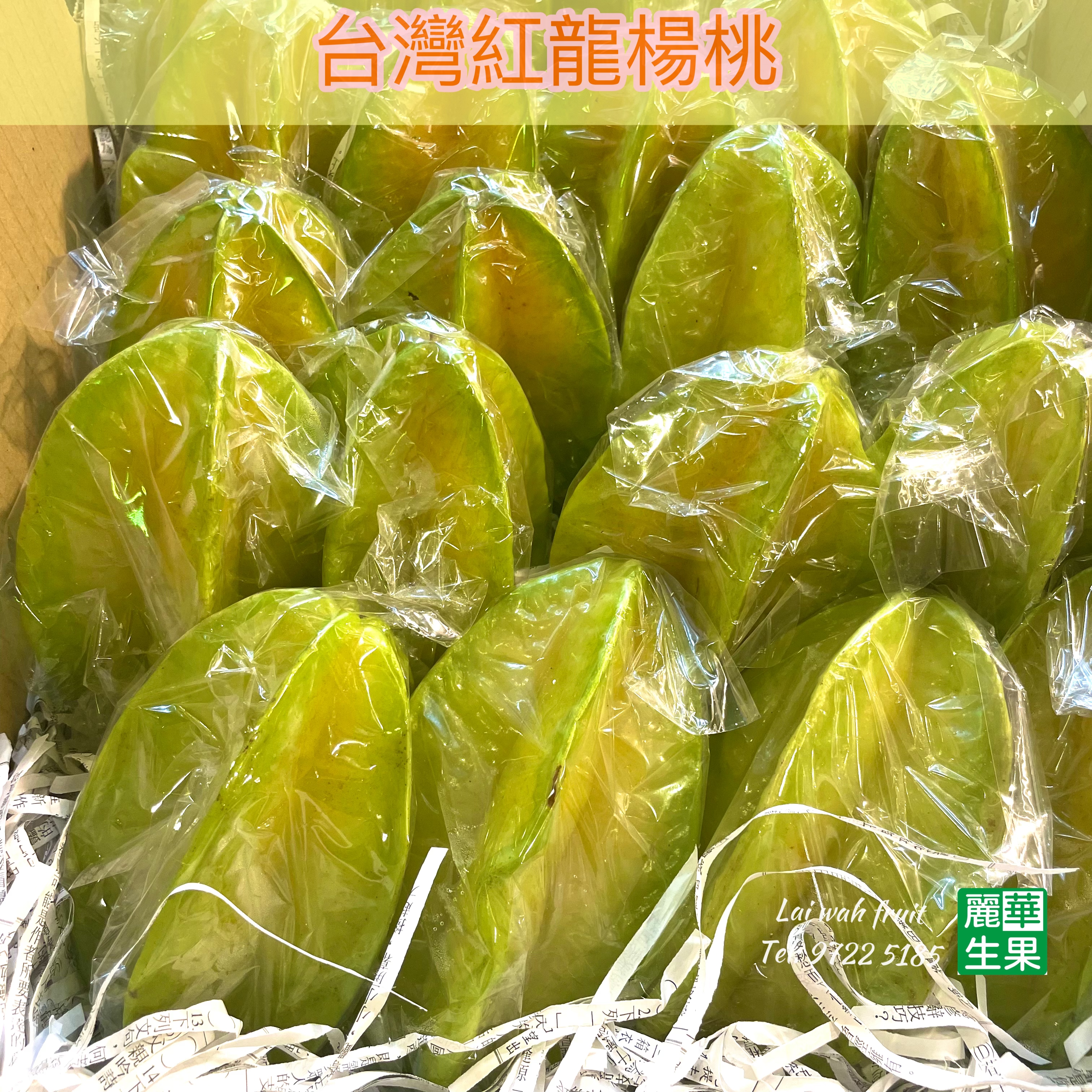特大【🇹🇼台灣紅龍／金龍楊🌟】$50/2個