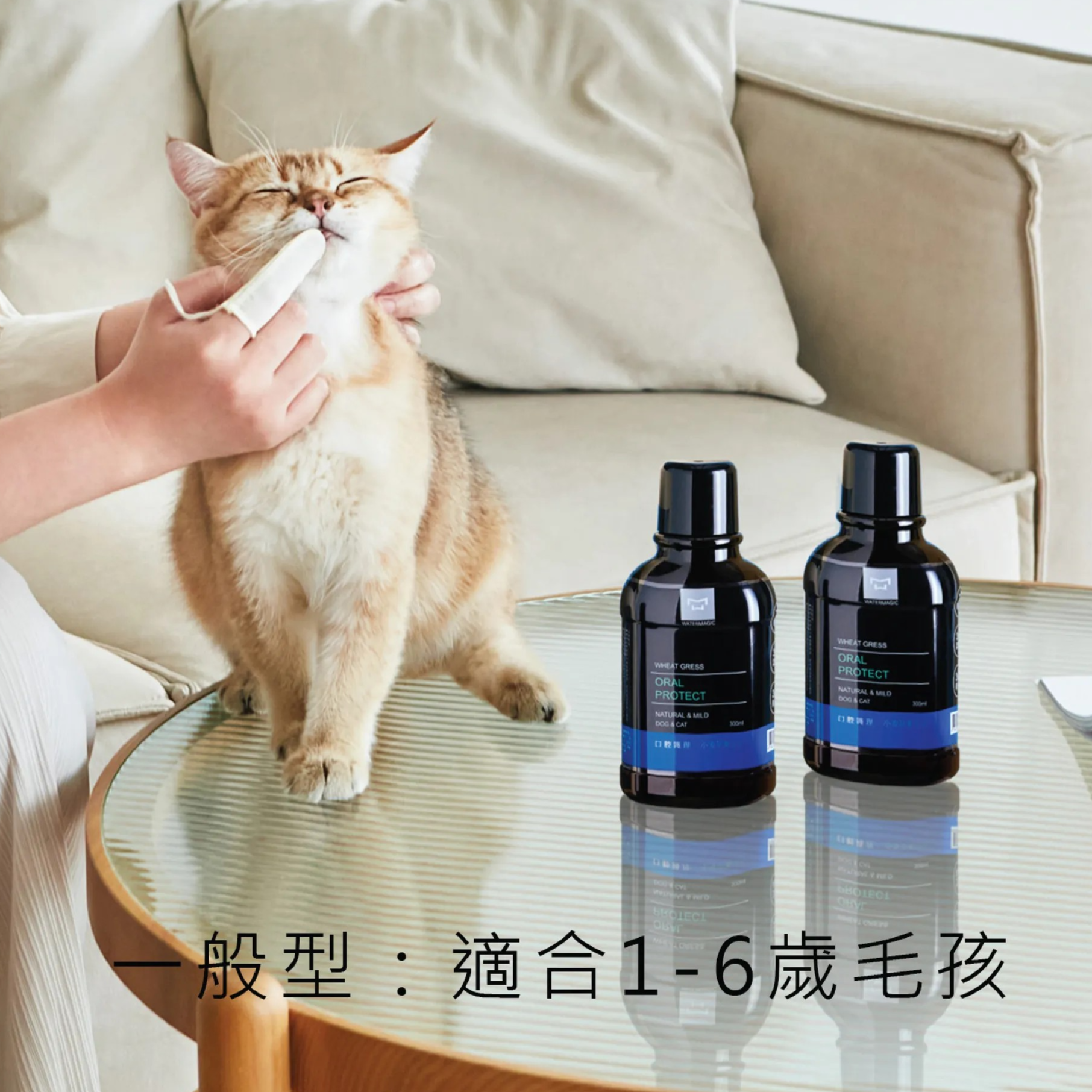 【1-6歲】貓狗口腔護理潔牙水【小麥草／貓草】