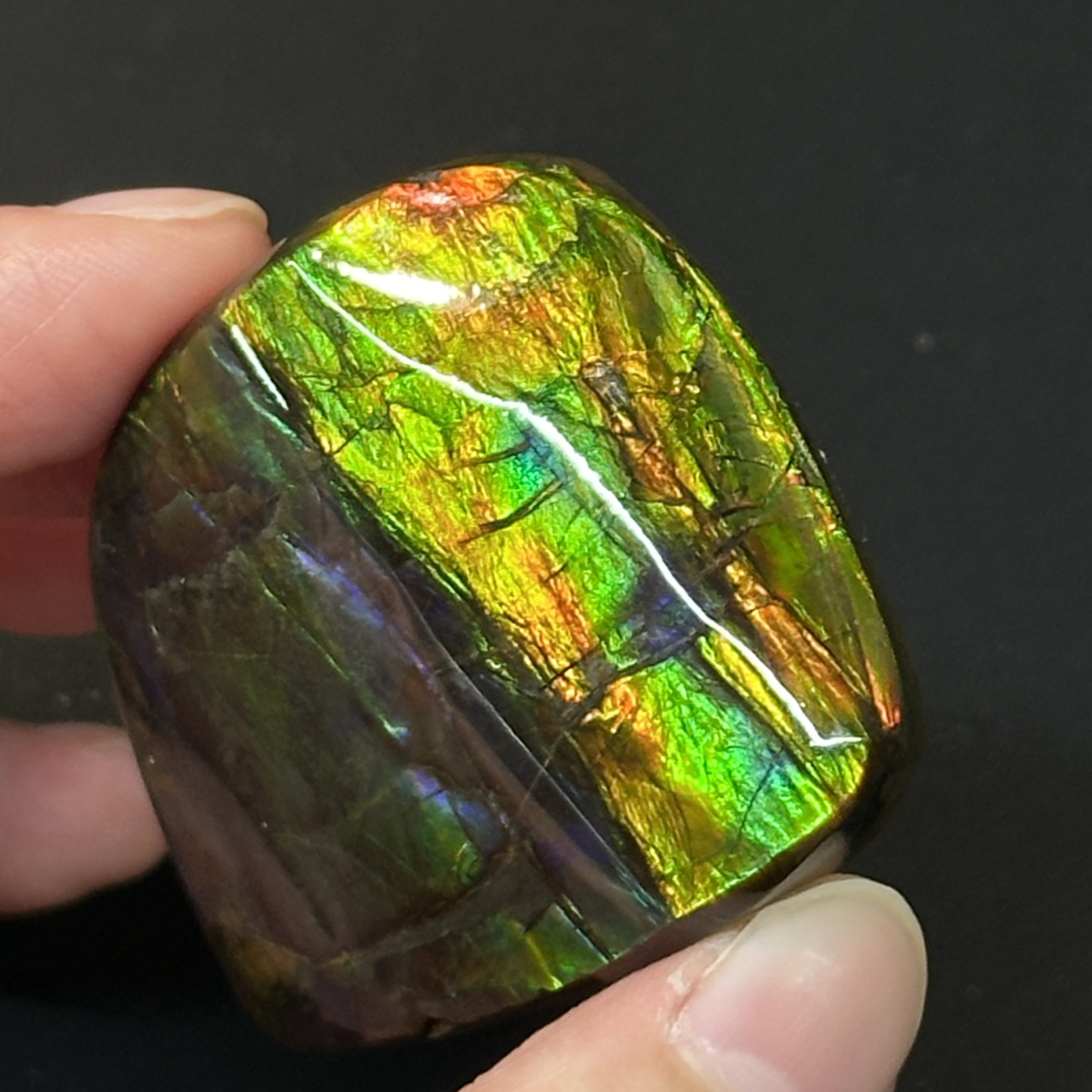 斑彩石 - Ammolite AM03