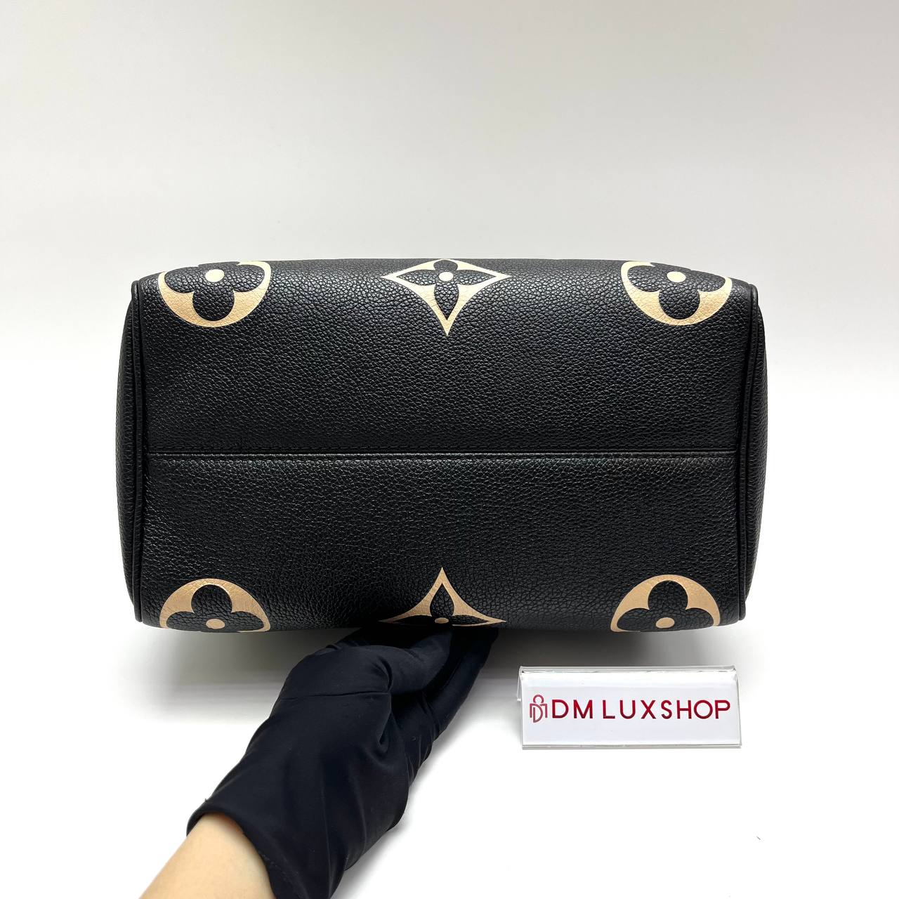 LV Bicolor Speedy 25