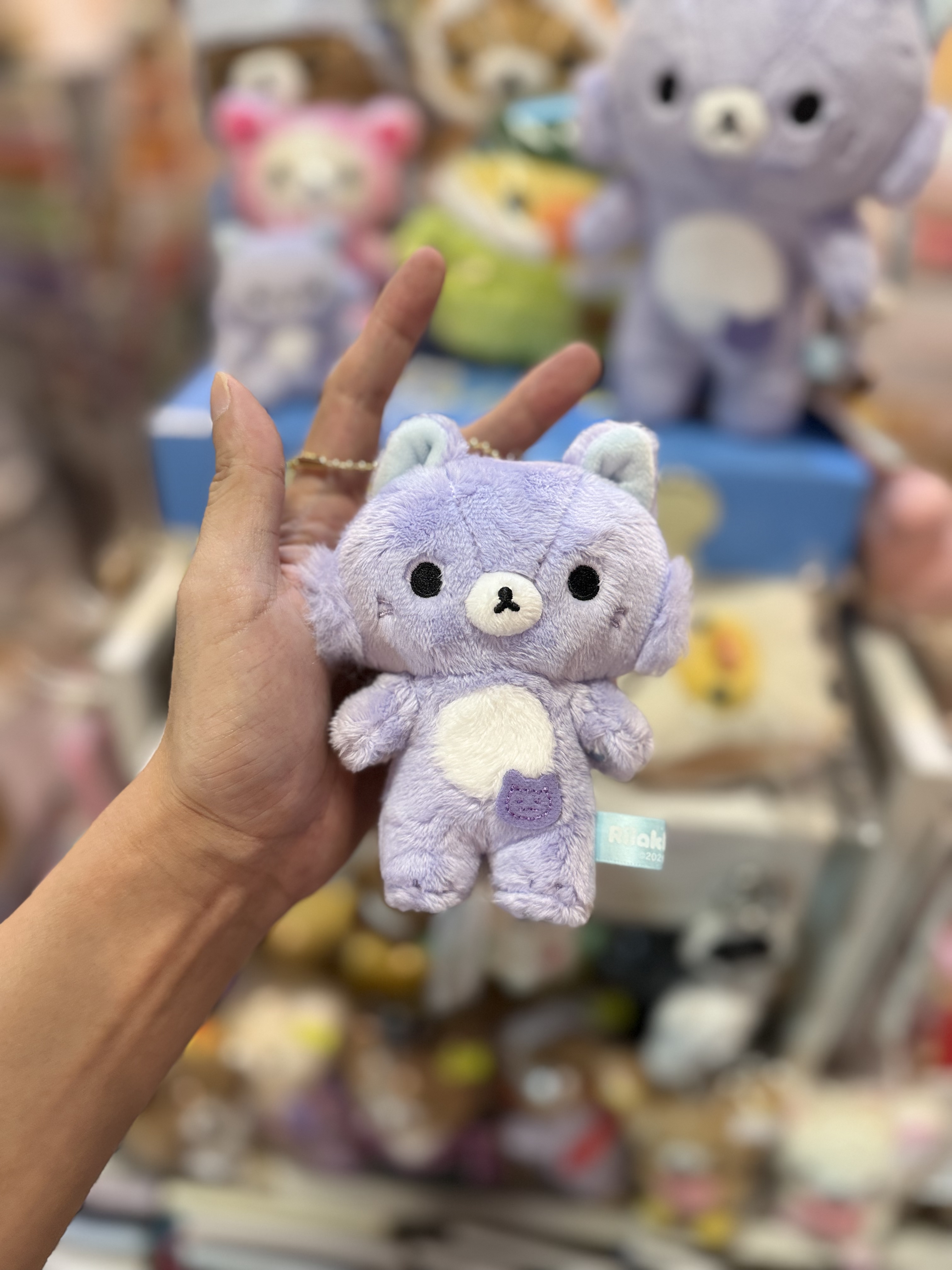 《現貨》全新Rilakkuma瓦瓦貓