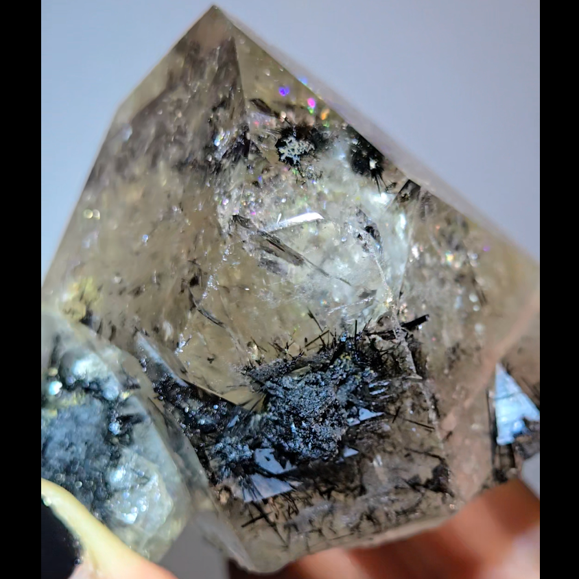 Black tourmaline inclusion smoky quartz with rainbows - RT1457