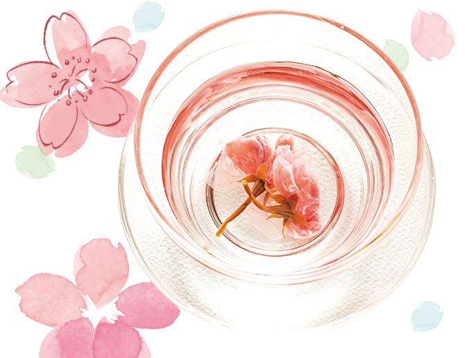 日本直送春季限定版 櫻花春季限定版5入/10入