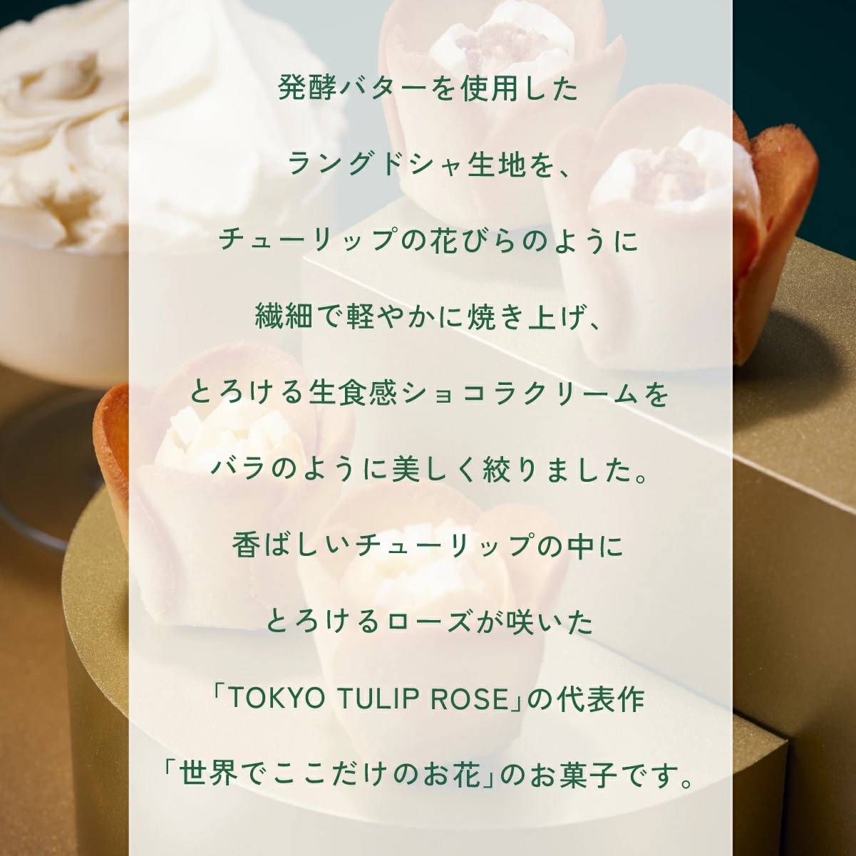 TULIP ROSE チューリップローズ in season　15袋入 - 01260330
