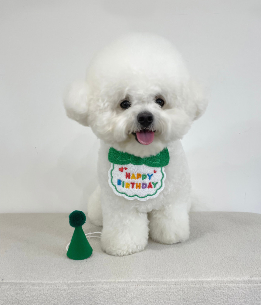 （現貨）韓國🇰🇷 HBD cape 🥳