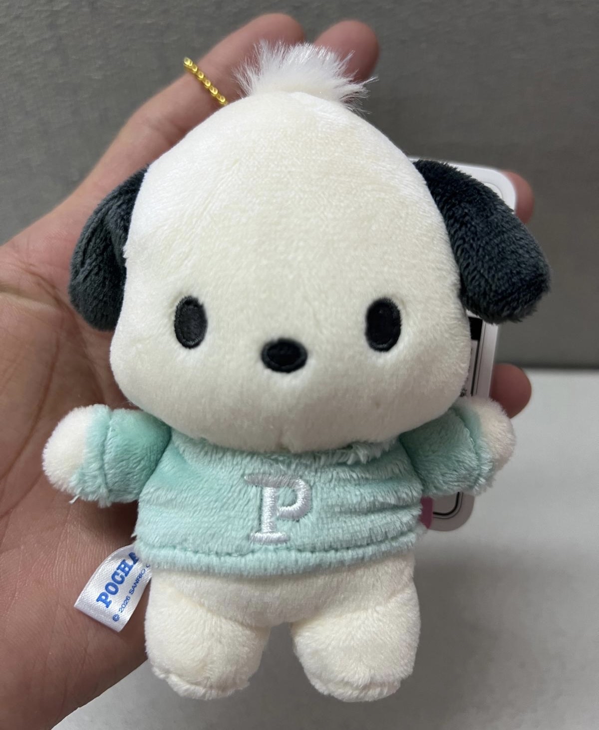 🎌日本直送🎌Sanrio 日本限定款 公仔掛飾
