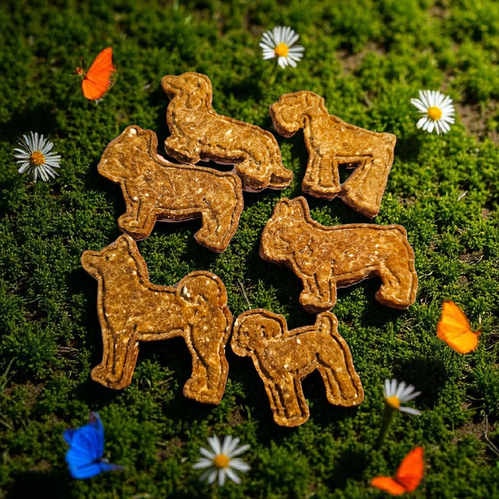 香蕉小狗餅 (市集裝)