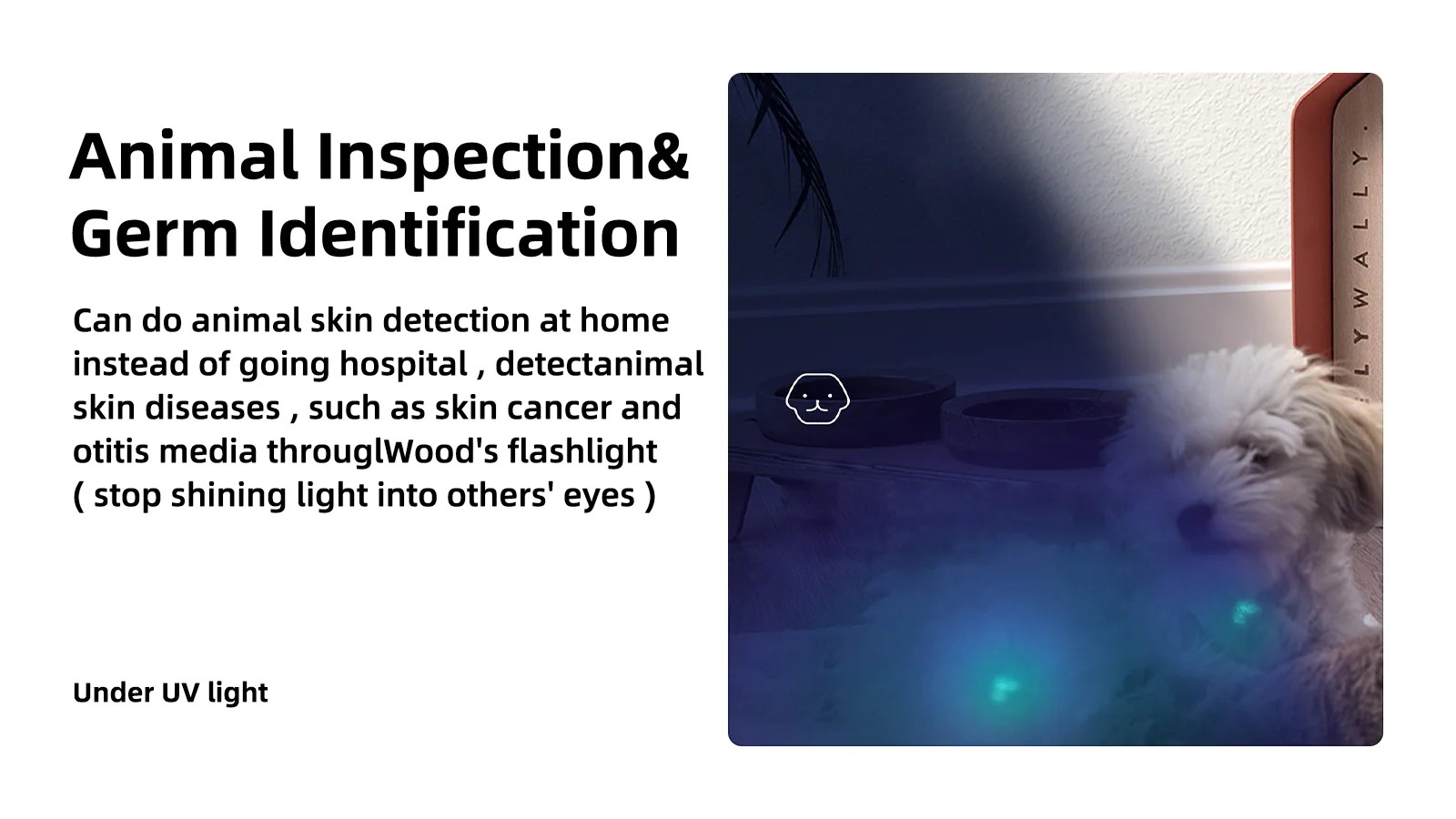 Wuben E19UV 紫外光筆型電筒