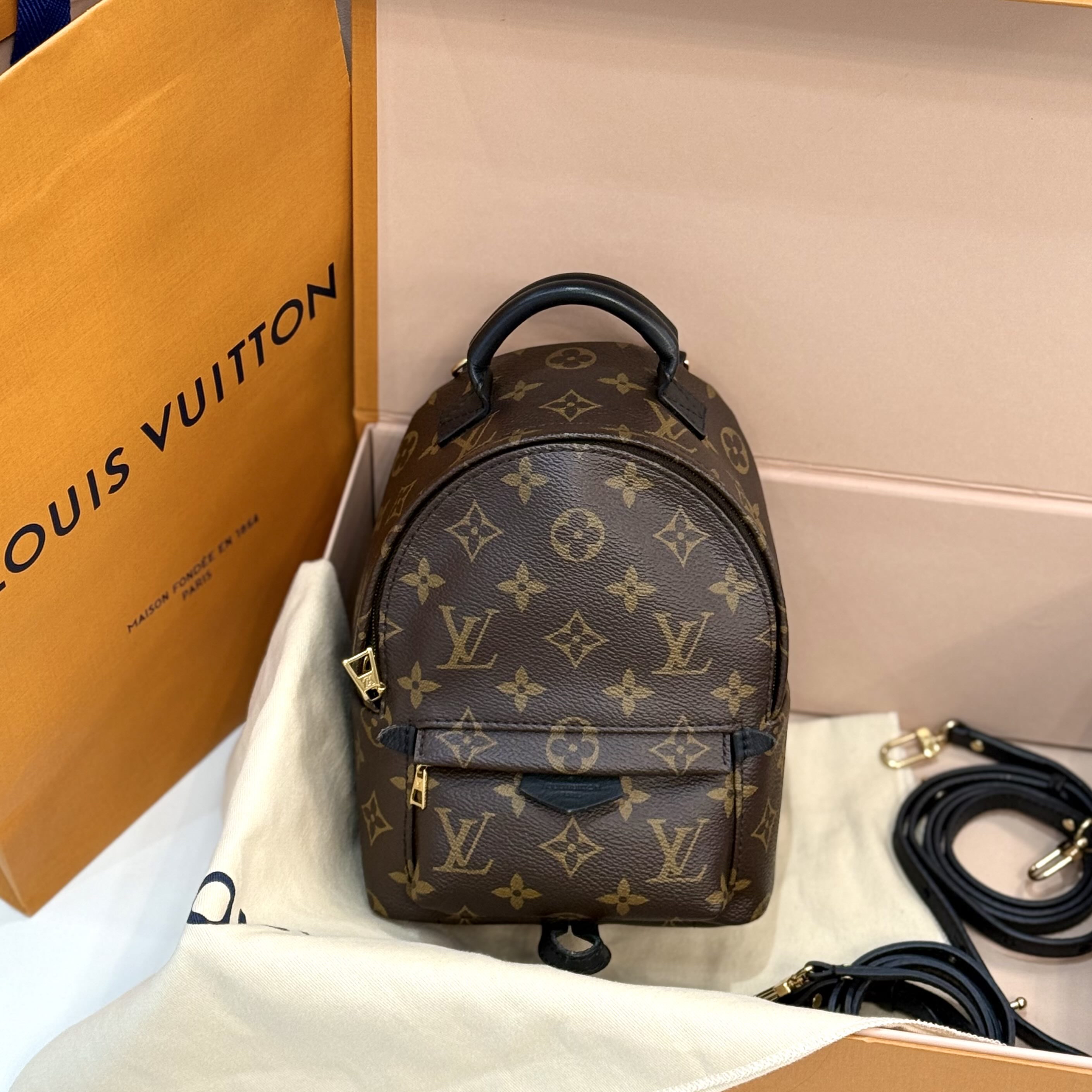 【預訂貨品】LV老花plam springs迷你書包 