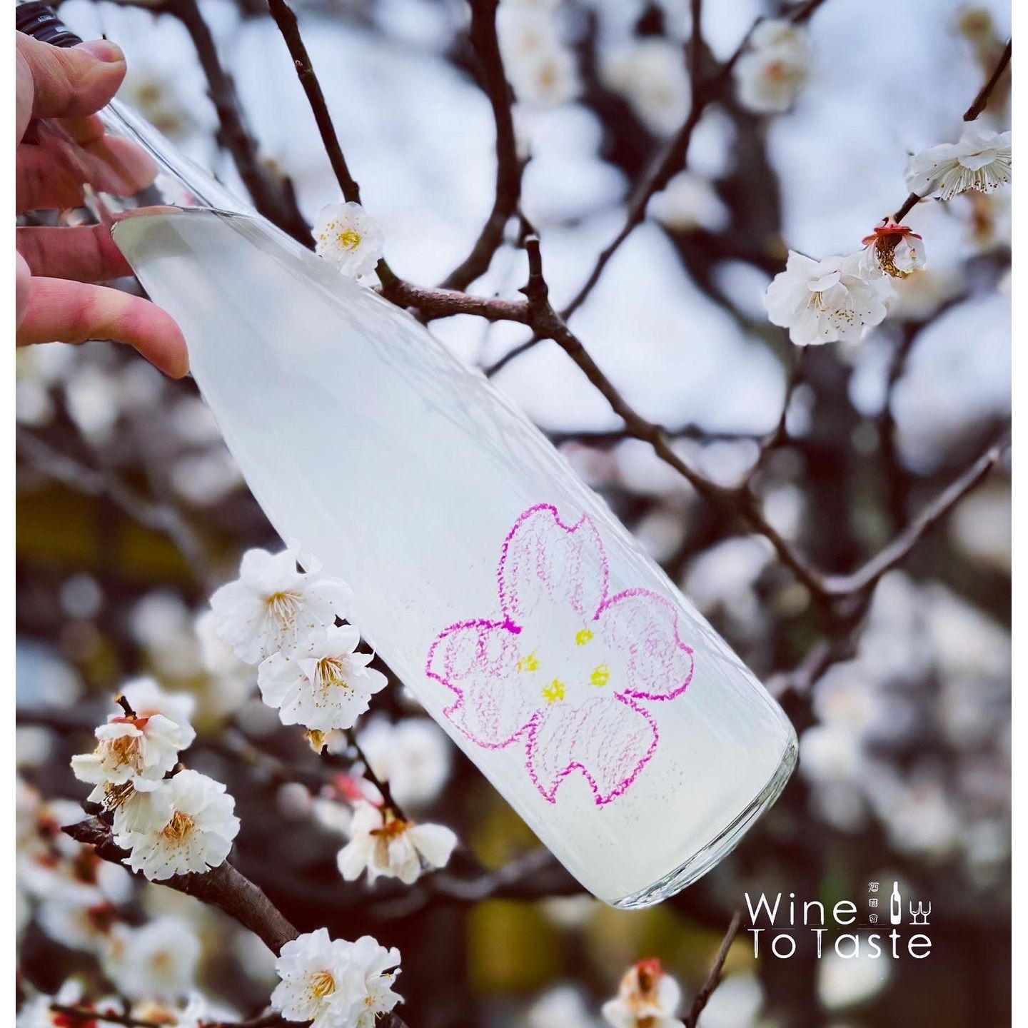 仙禽 櫻花OHANAMI 純米大吟醸 2023 - 720ml