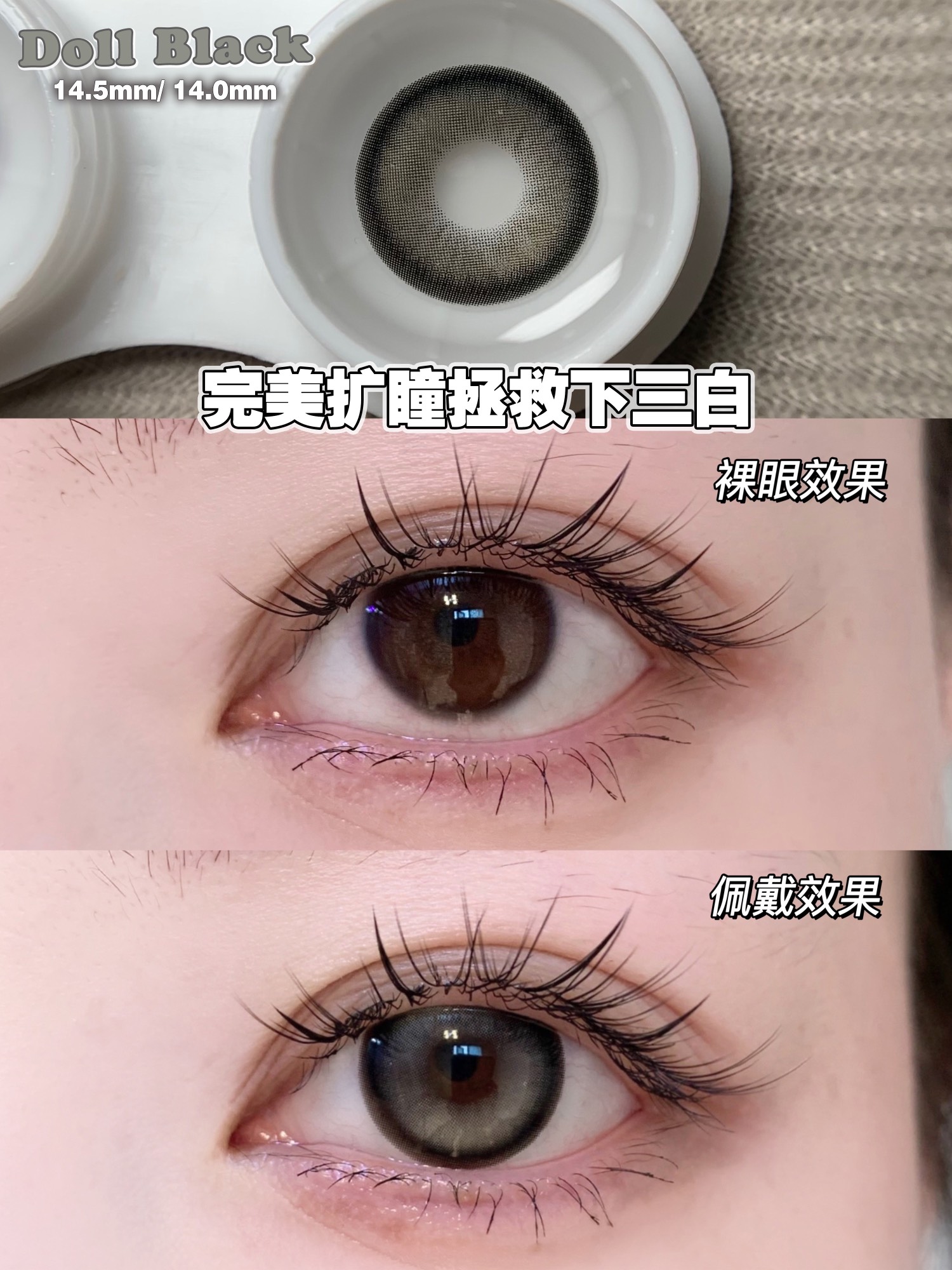 Doragina 日拋 甜萌黑糖