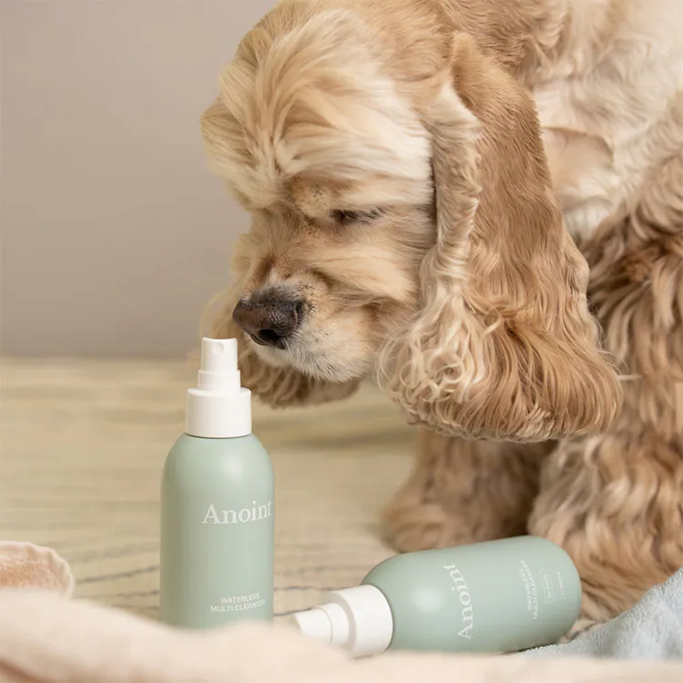韓國 Anoint｜犬用 多功能乾洗潔液 Waterless Multi Cleanser 150ml｜乾洗泡泡