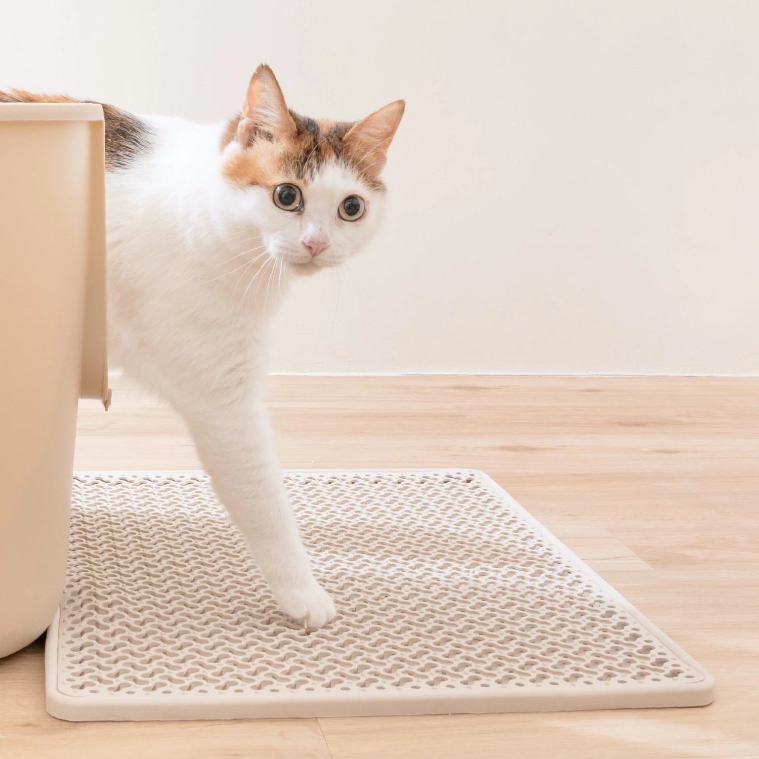 汪喵星球 小宅生活 極致控砂墊