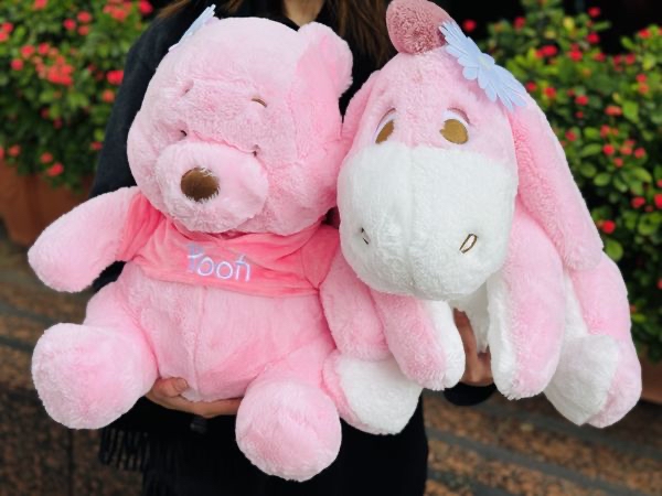 （約4月下旬到貨）🇹🇼台灣超商高雄限定小熊維尼家族櫻花季限定配色大公仔💕