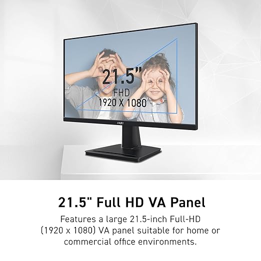 MSI 微星 Pro MP225V 專業顯示器