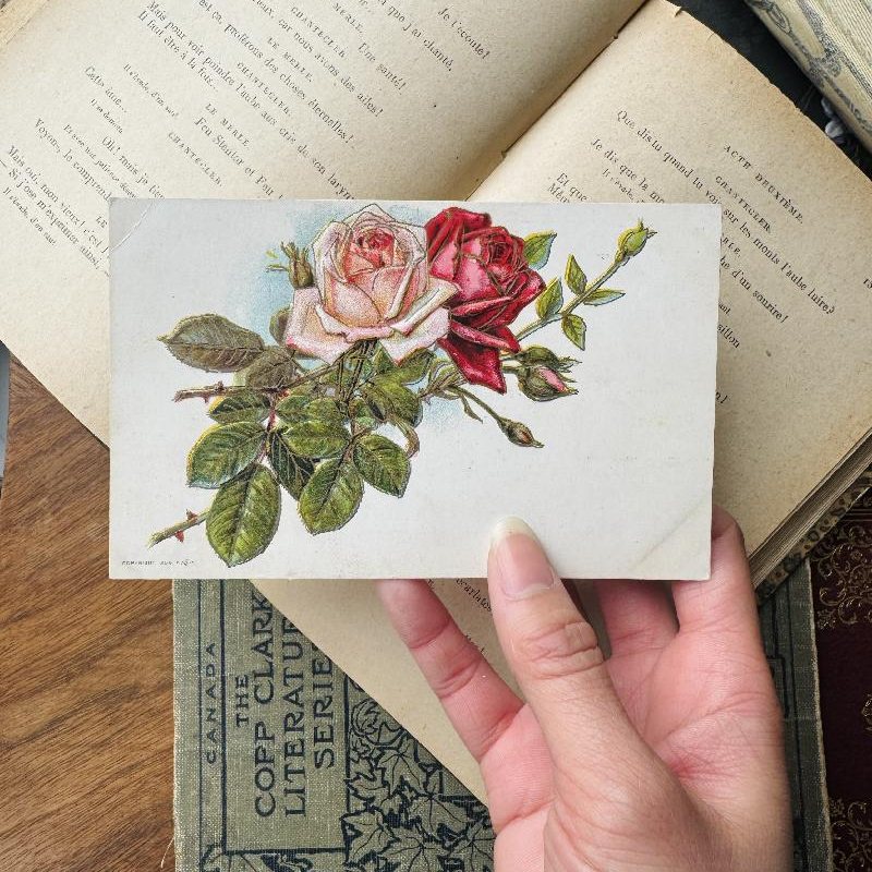 Antique 1909 Red and Pink Rose Postcard - Embossed with Golden Outline(MT2305-1)