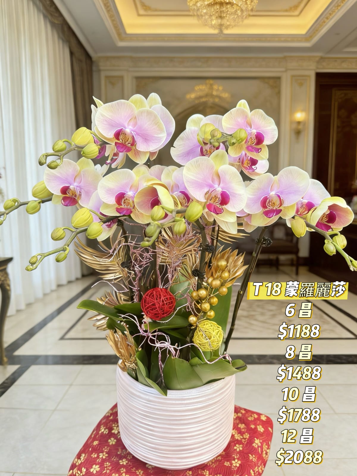 T18 蒙羅麗莎蝴蝶蘭｜粉金漸變貴氣款