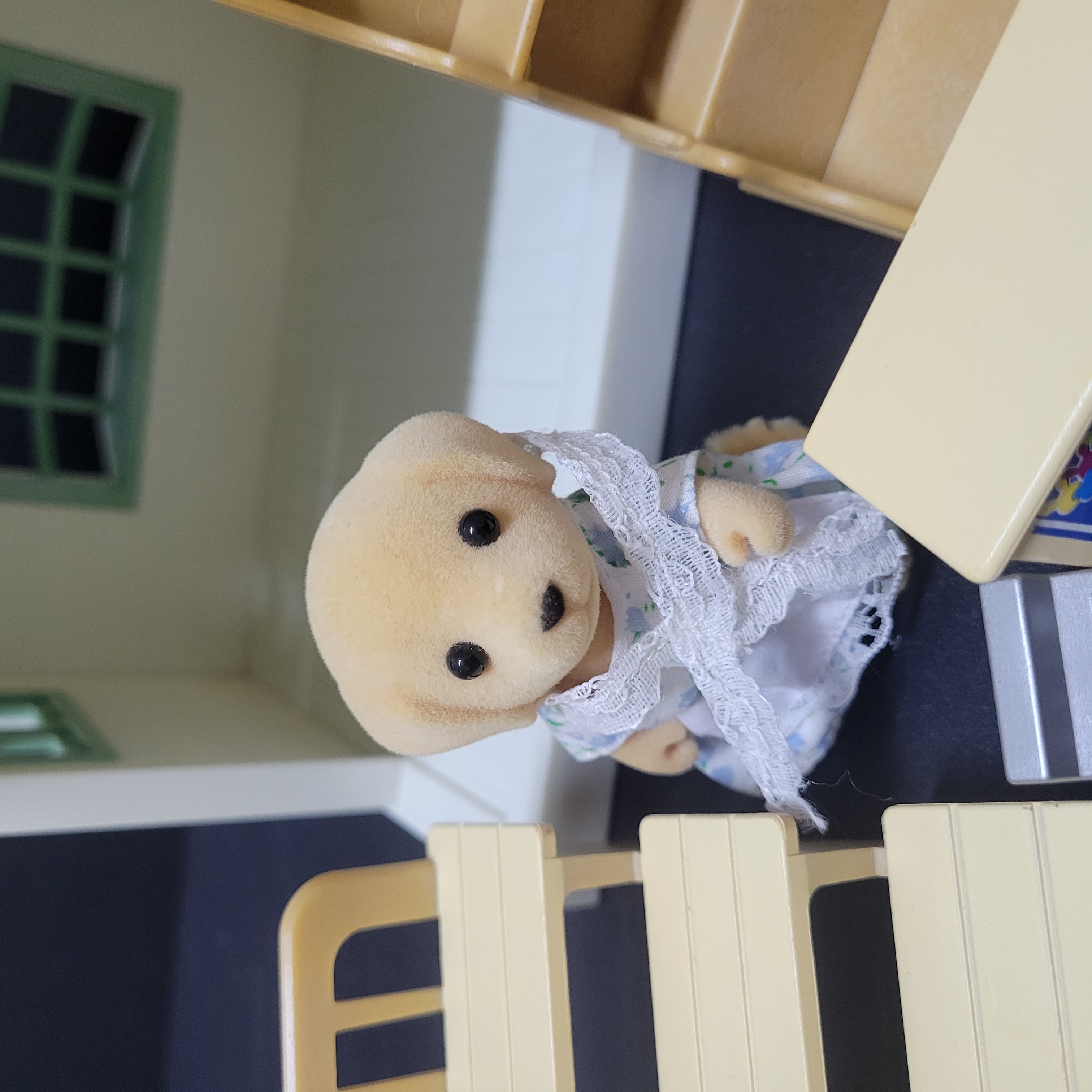 森林家族紀念品店260430