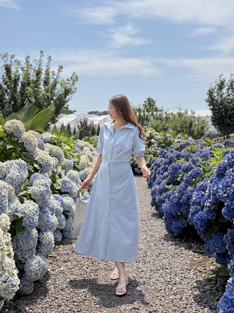 Lena Contoured Waist Dress (Pastel Blue)