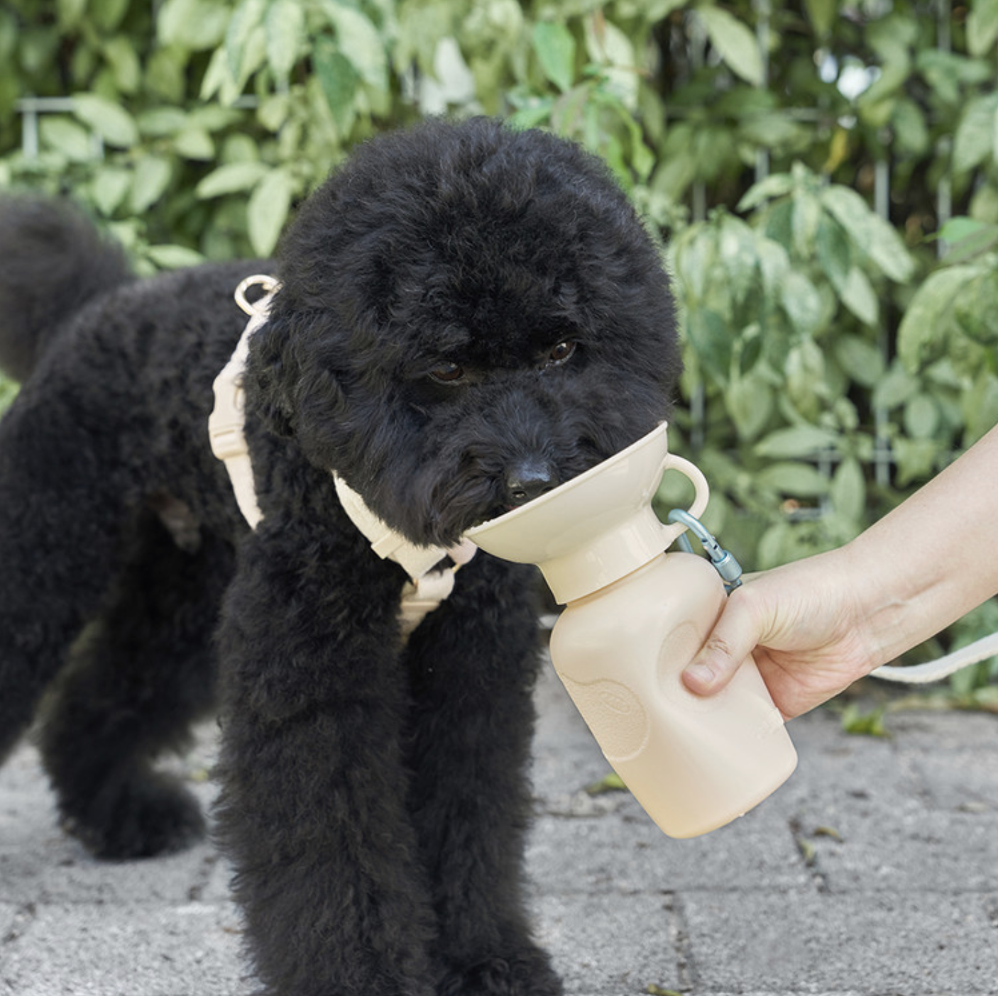 *Super Pet🇰🇷手提寵物充氣水樽