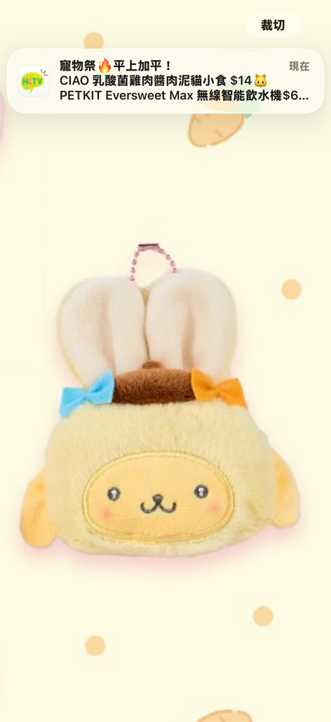 [現貨]兔仔毛絨造型 掛飾