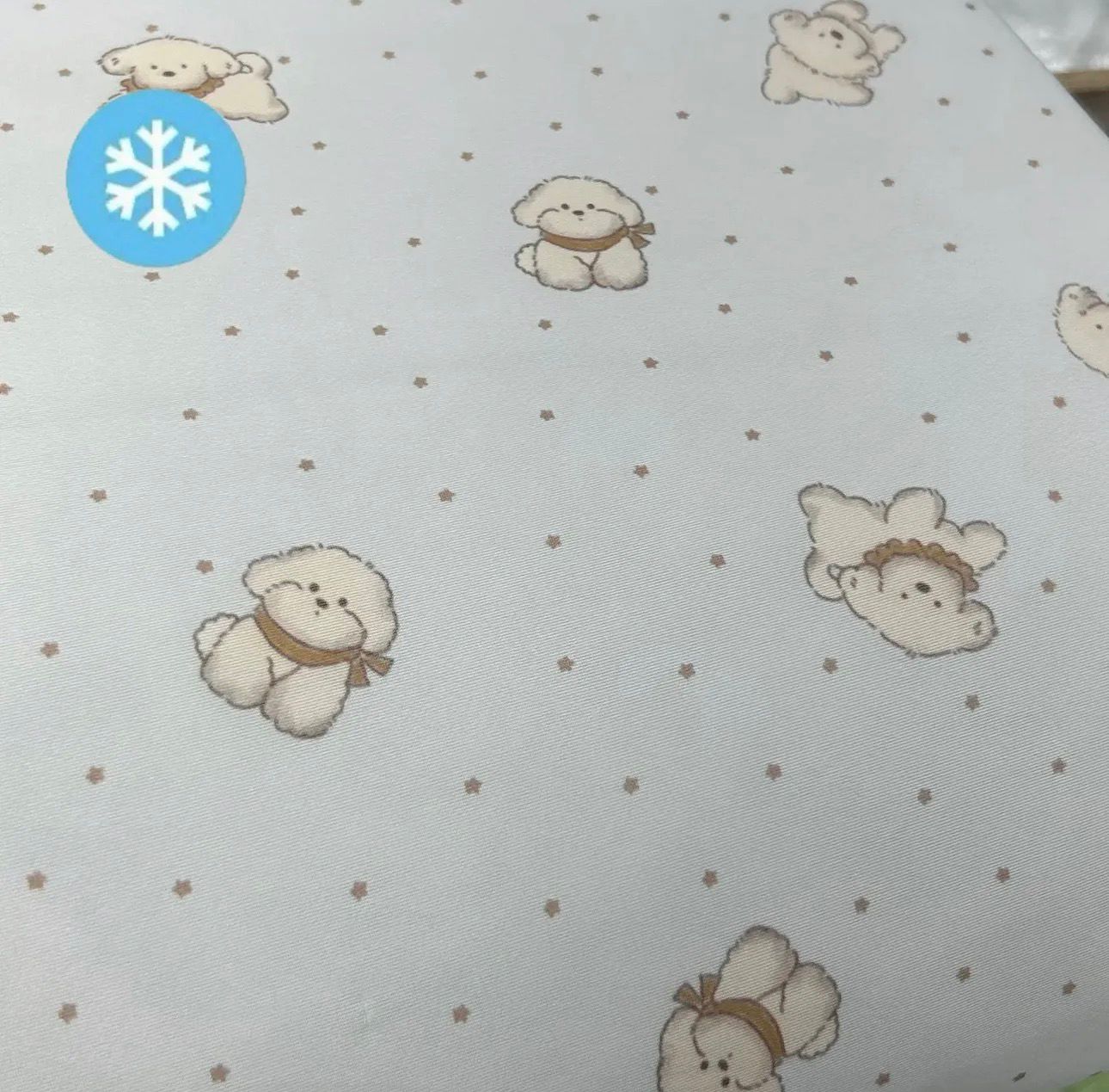 🇰🇷韓國直送 涼感被 KJ30