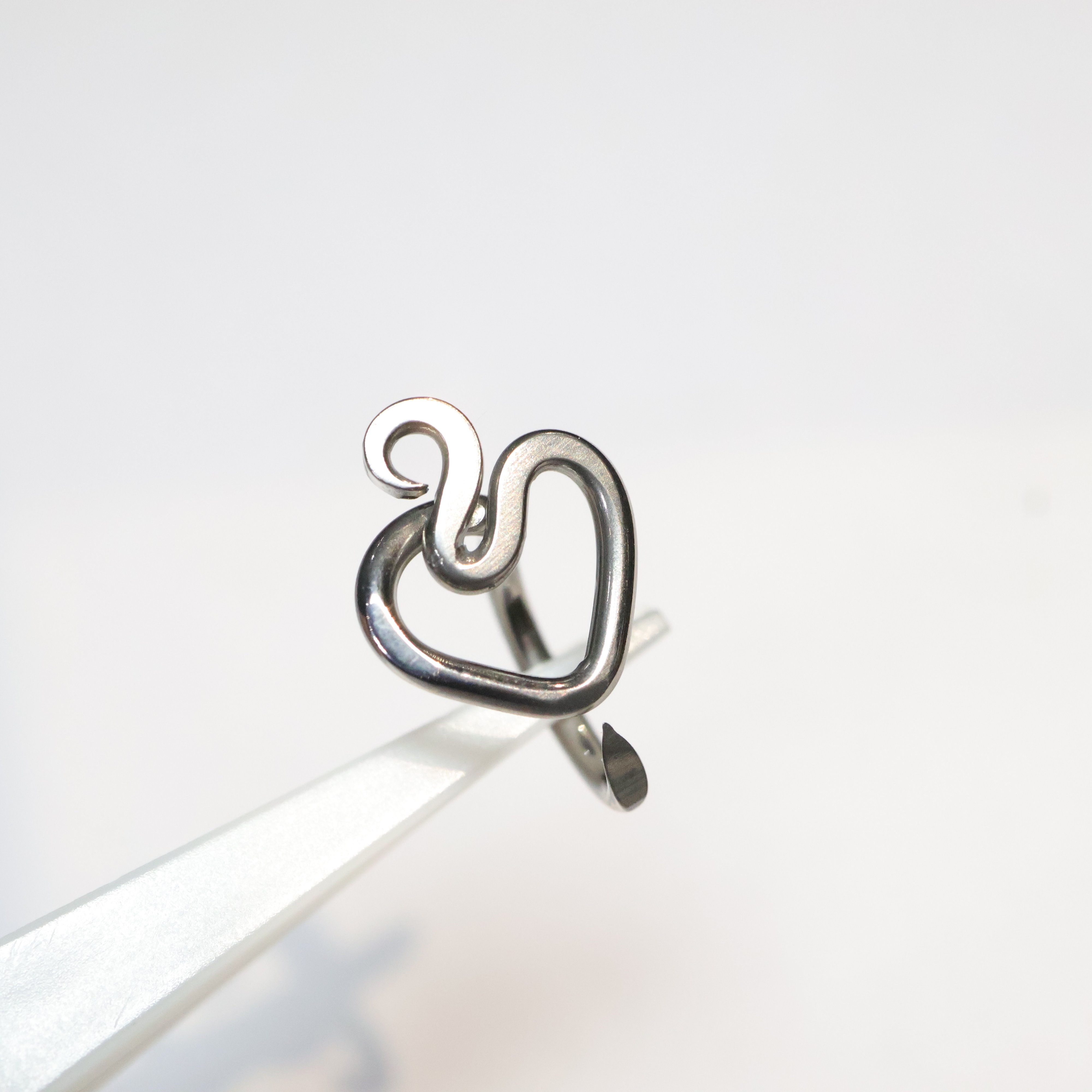 Sacred Heart 	(Rook)