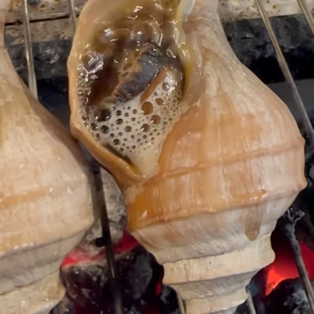 🇯🇵 活日本茶螺 (一般香港夏季有供應)