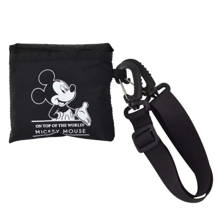 預訂 方形pouch 2way bag Mickey Minnie Donald Goofy Chipndale Aliens 