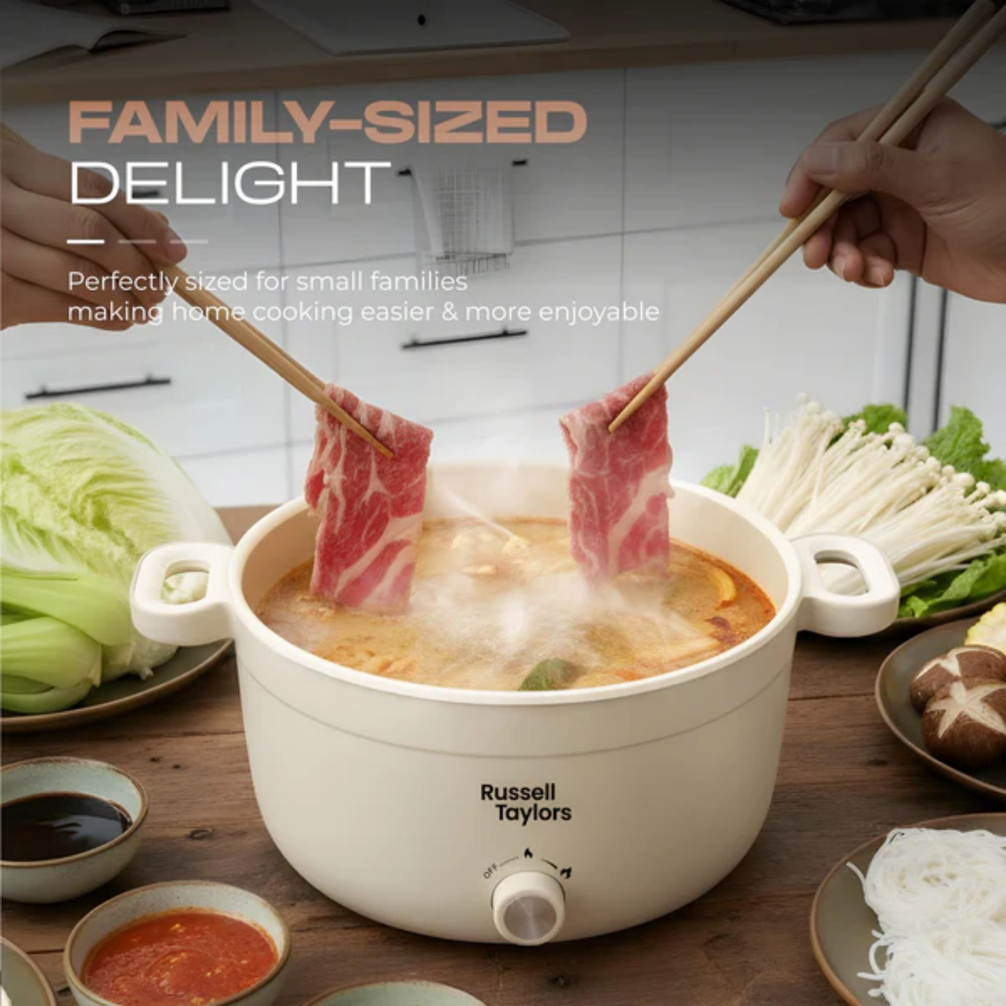 Russell Taylors Multi Cooker (MC8)