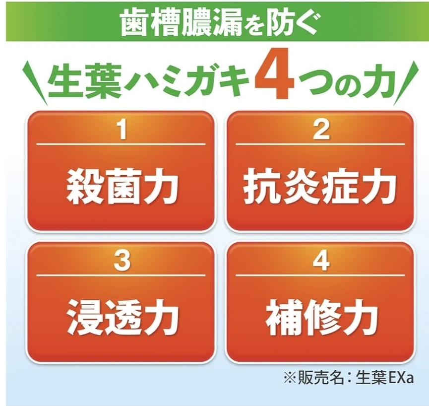 日本小林製藥 生葉EX 藥用牙膏 100g