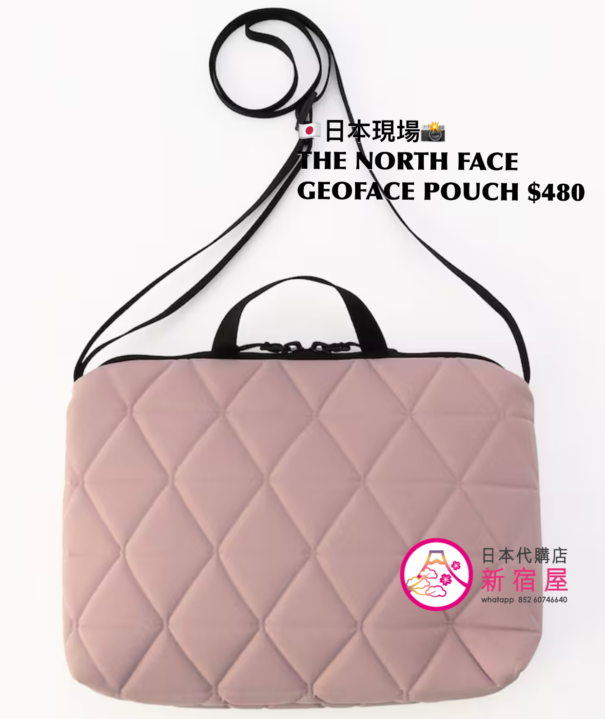 THE NORTH FACE GEOFACE POUCH