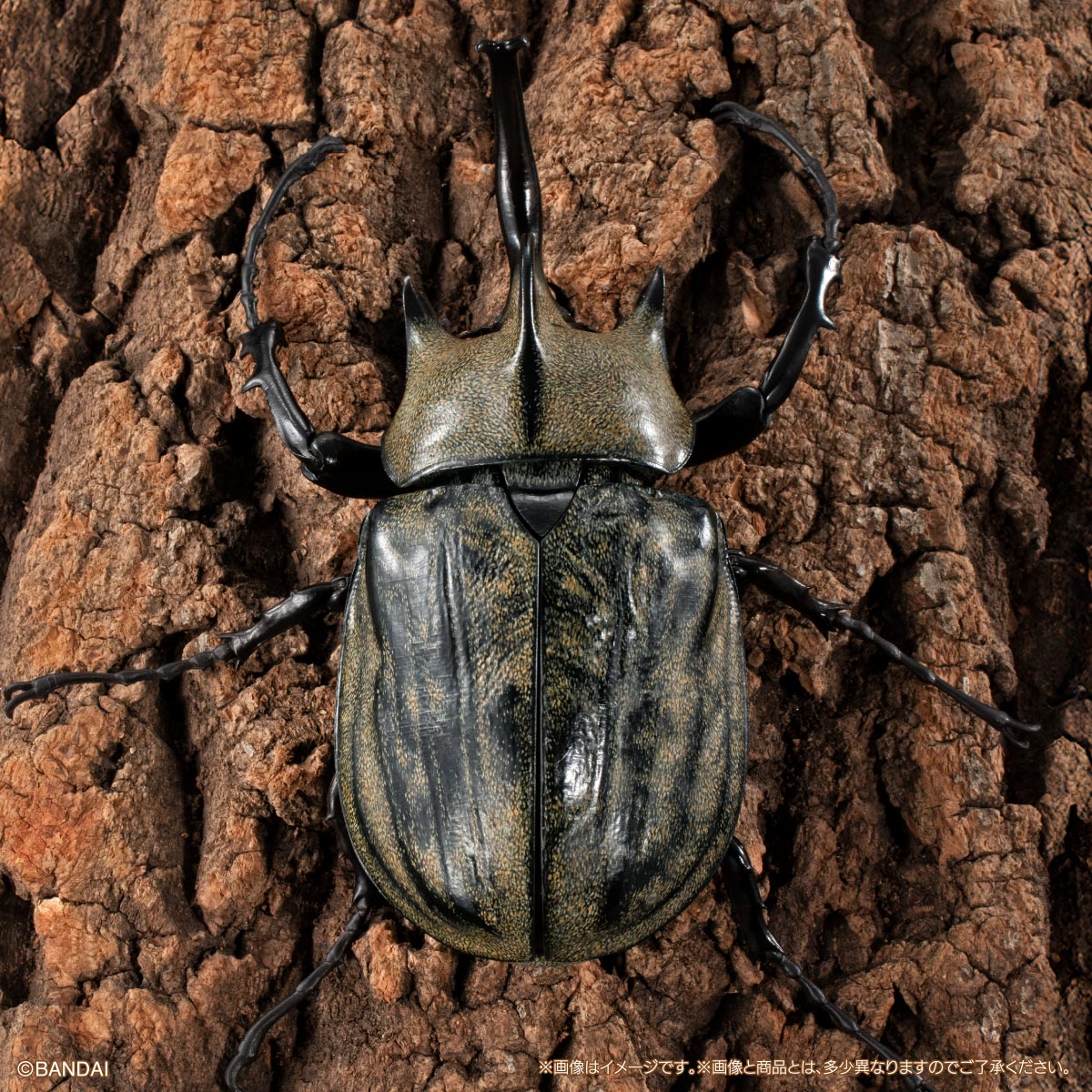 [GOL]THE DIVERSITY OF LIFE ON EARTH ADVANCE BEETLE 04 DISPLAY STAND & BARK PEDESTAL (MEDIUM) SET