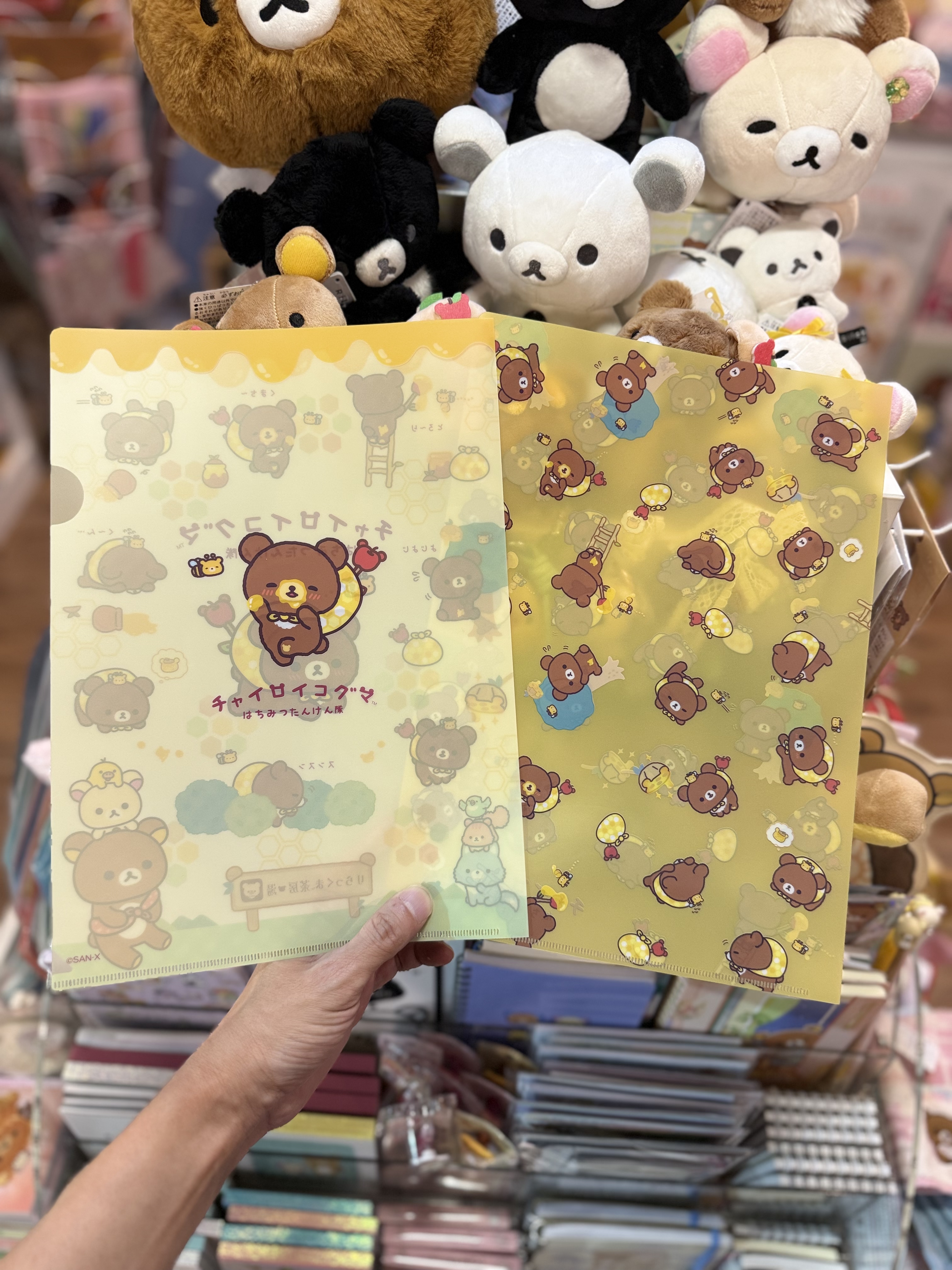 《現貨》全新日本小熊10週年紀念巡迴pop up店限定小熊探險隊系列對裝file