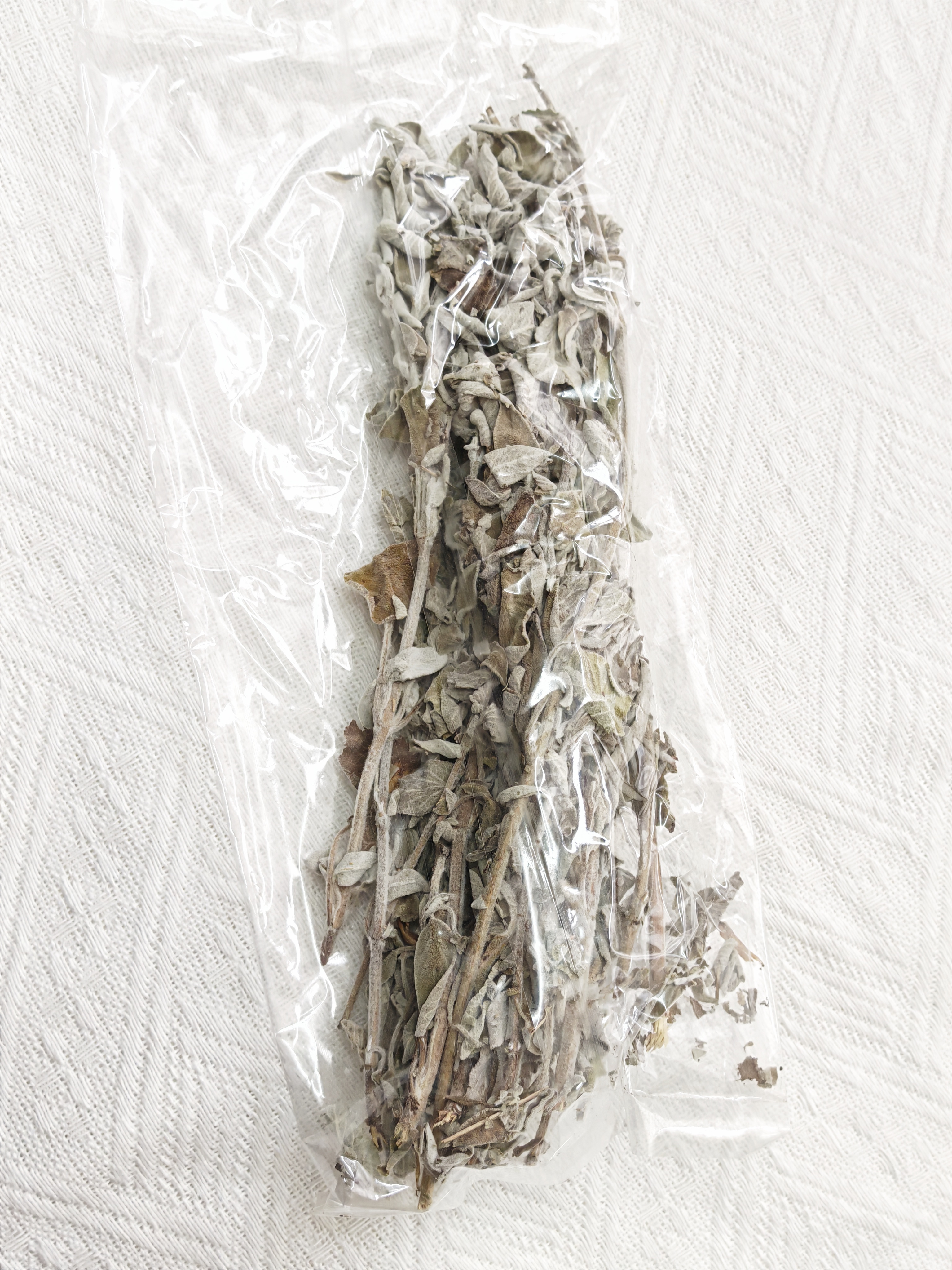 鼠尾草 Sage (捆裝)