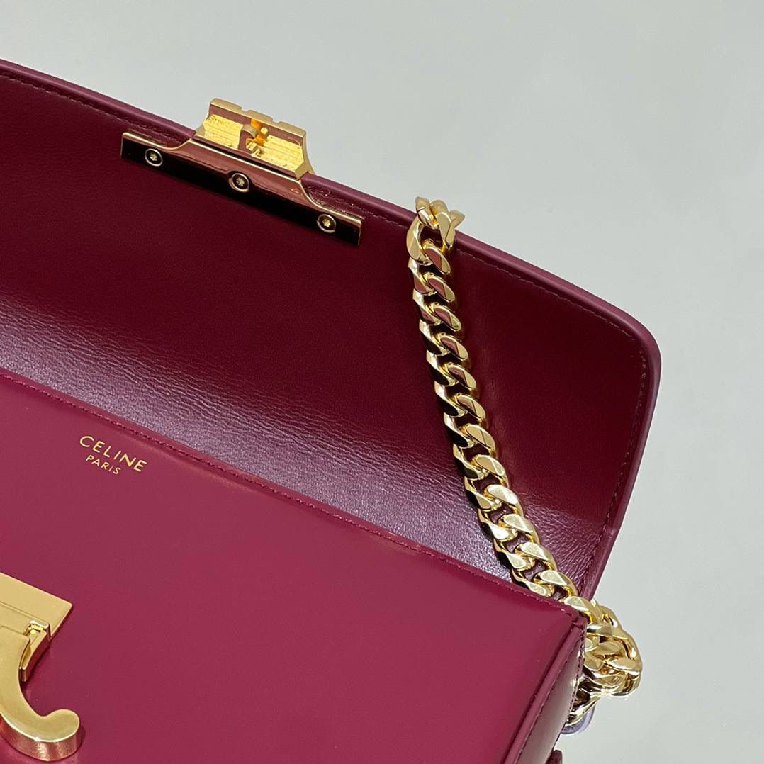 🔥大货实拍图 𝗖𝗘𝗟𝗜𝗡𝗘 ♥ 𝗧𝗥𝗜𝗢𝗠𝗣𝗛𝗘链条腋下包 型号：197993 尺寸：20.5*11.5*4cm