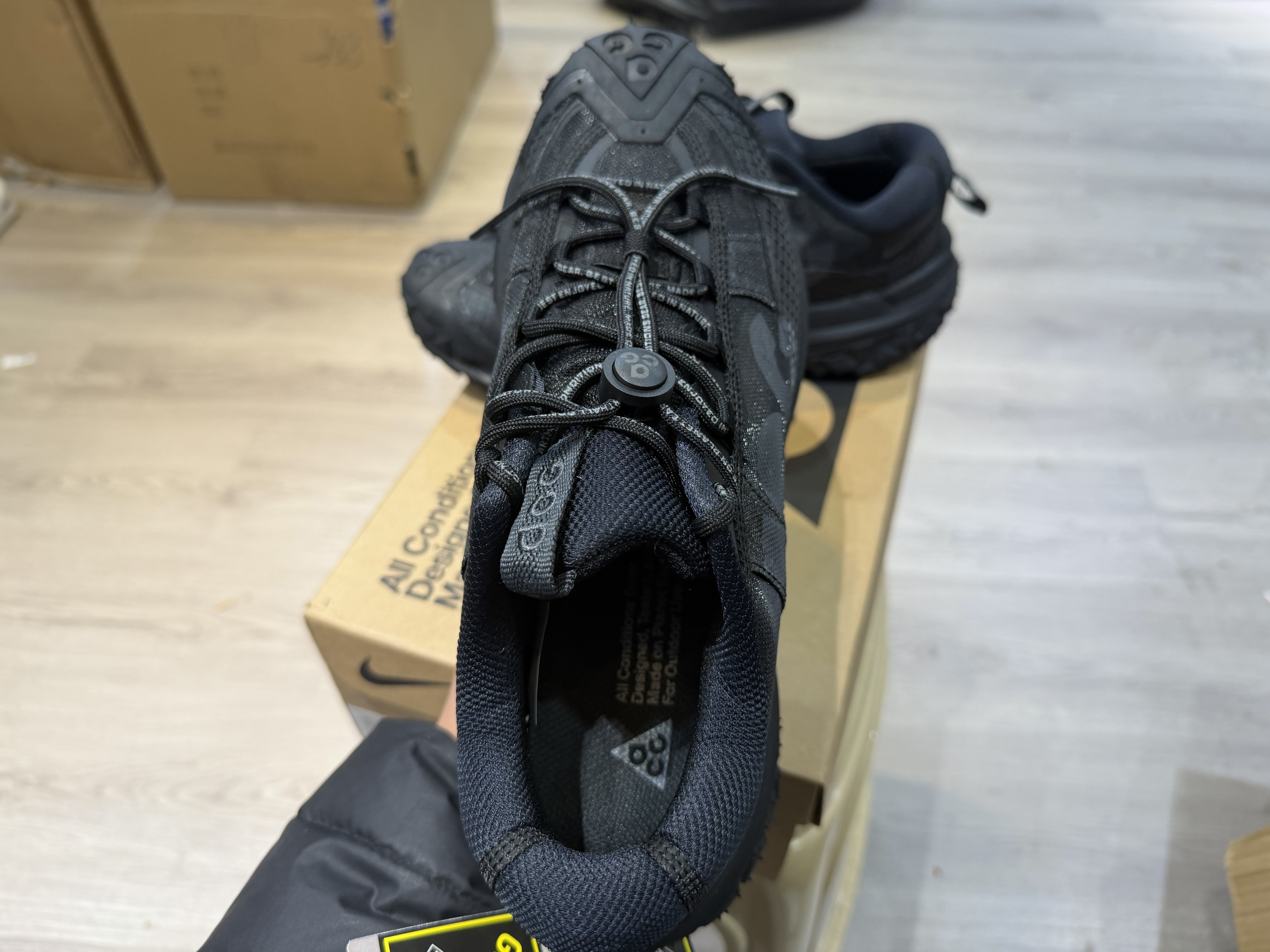 Nike ACG Mountain Fly 2 Low