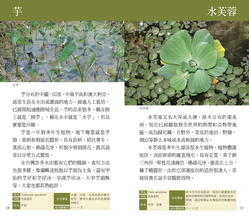 人人 野塘：122種野塘生物的奧祕