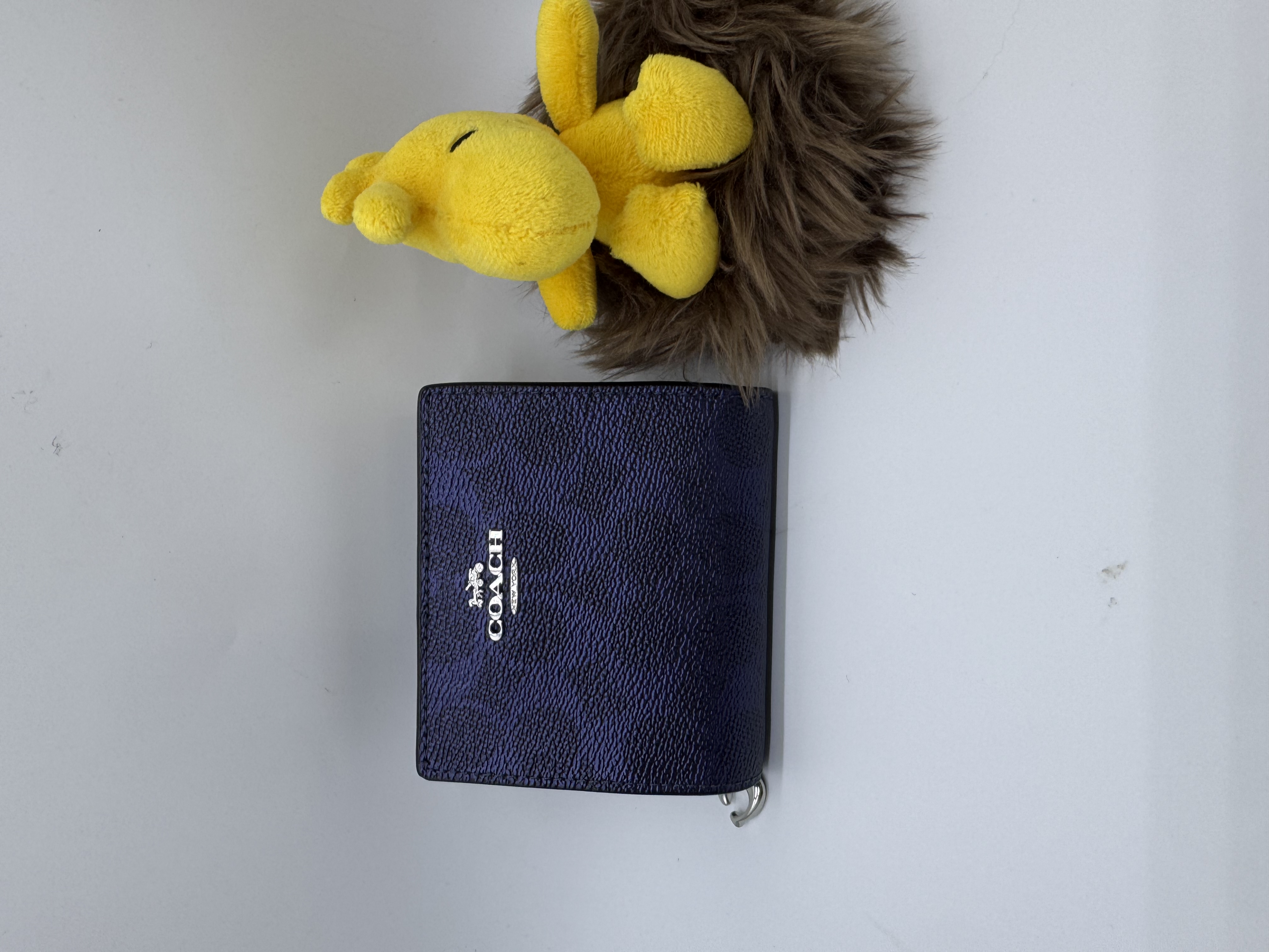 🇺🇸🇨🇦✈️Coach outlet 金屬藍色signature c pattern 系列貨品現貨💙💙🤩🤩