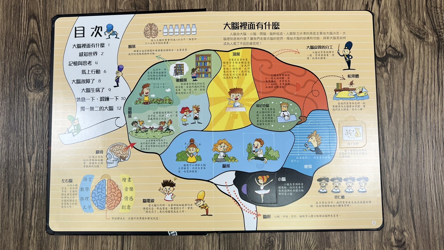 南門 揭祕翻翻書9本