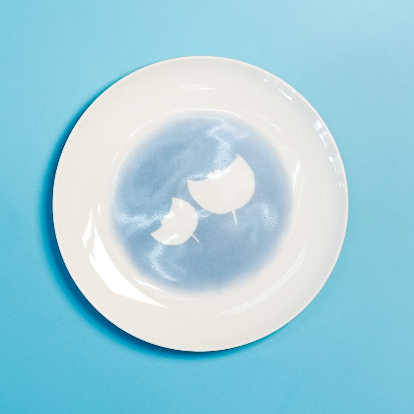 【魔鬼魚系列】魔鬼魚印花碟B款 (MC-MR19)