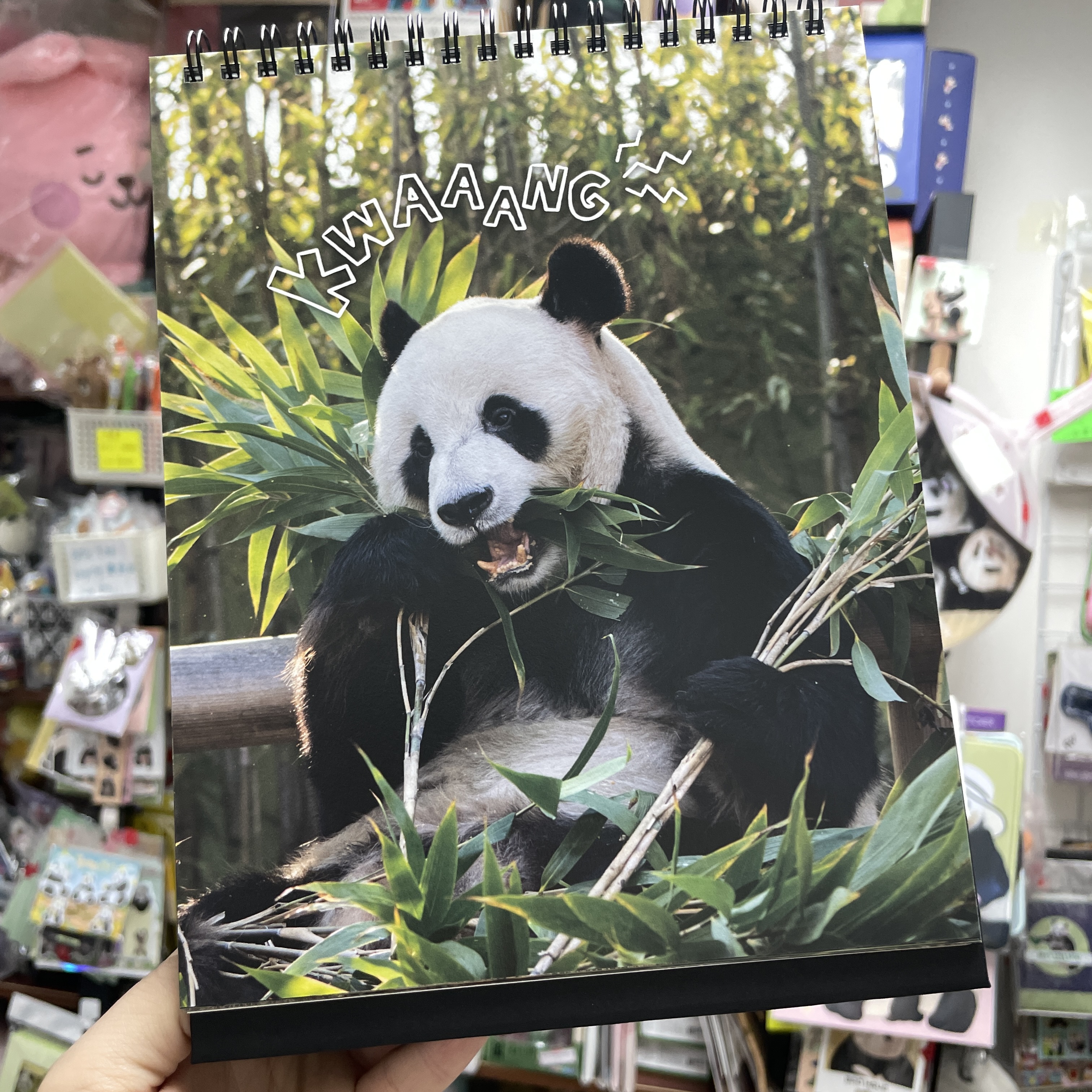 🈶現貨 韓國代購 愛寶樂園 Everland Bao Family 寶家族 2026年 座枱月曆