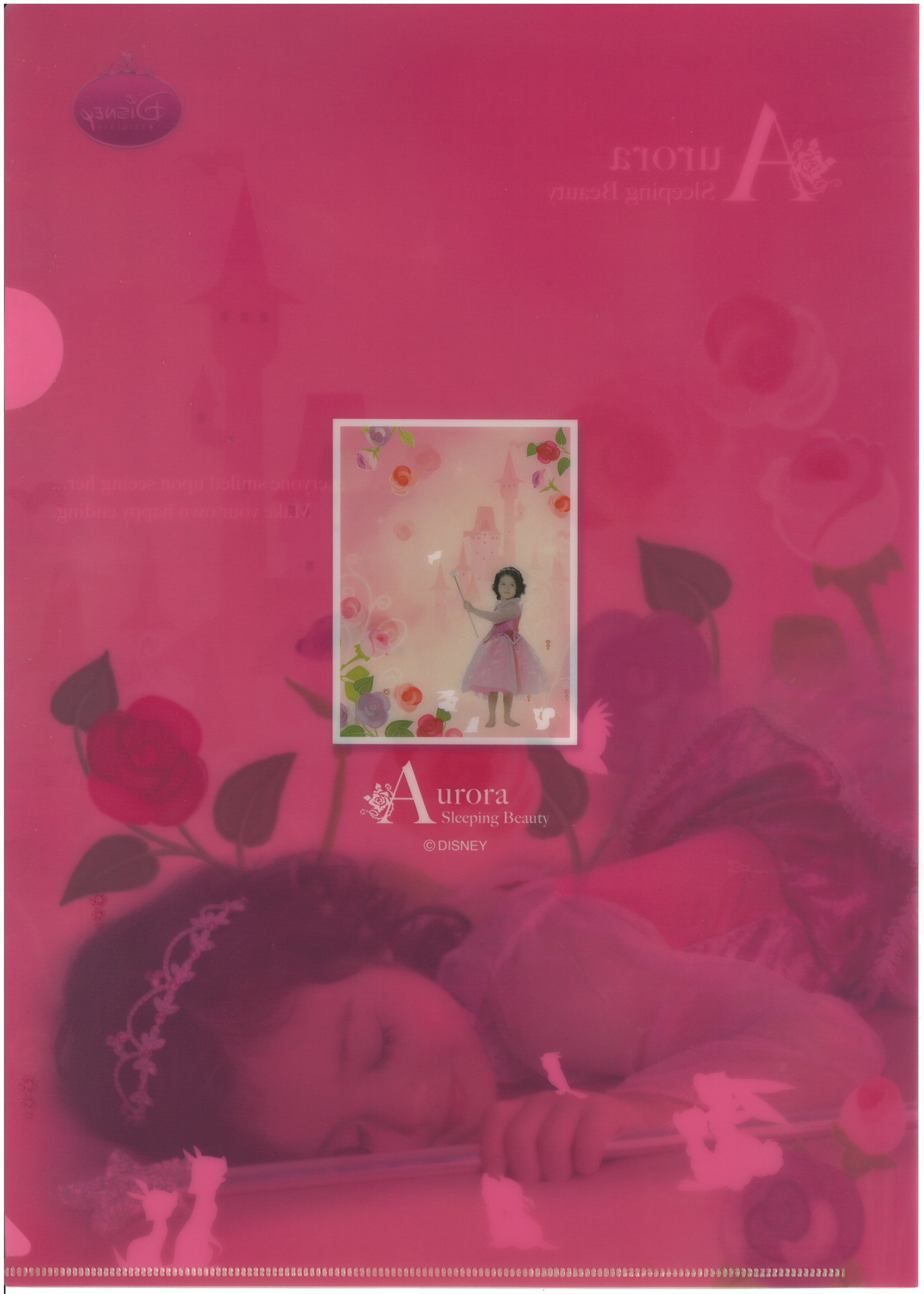 Sleeping Beauty 睡公主 A4文件夾  (63673-2)